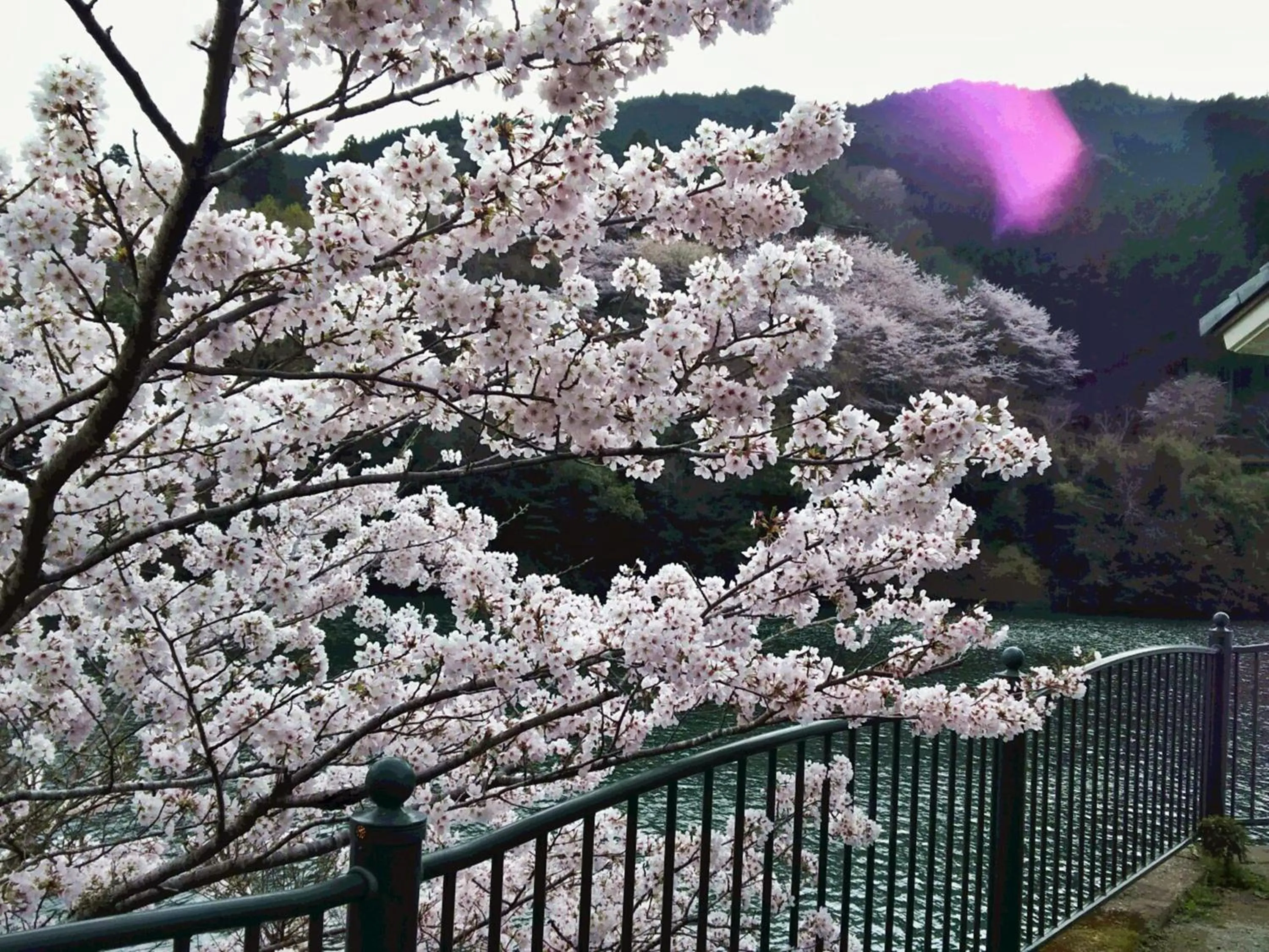 Off site in momijigawa onsen