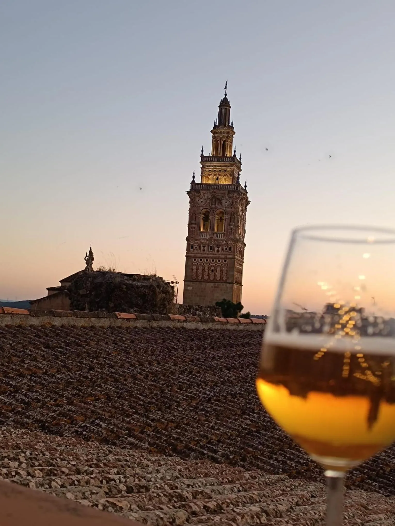 Landmark view in Hotel Oasis Familiar