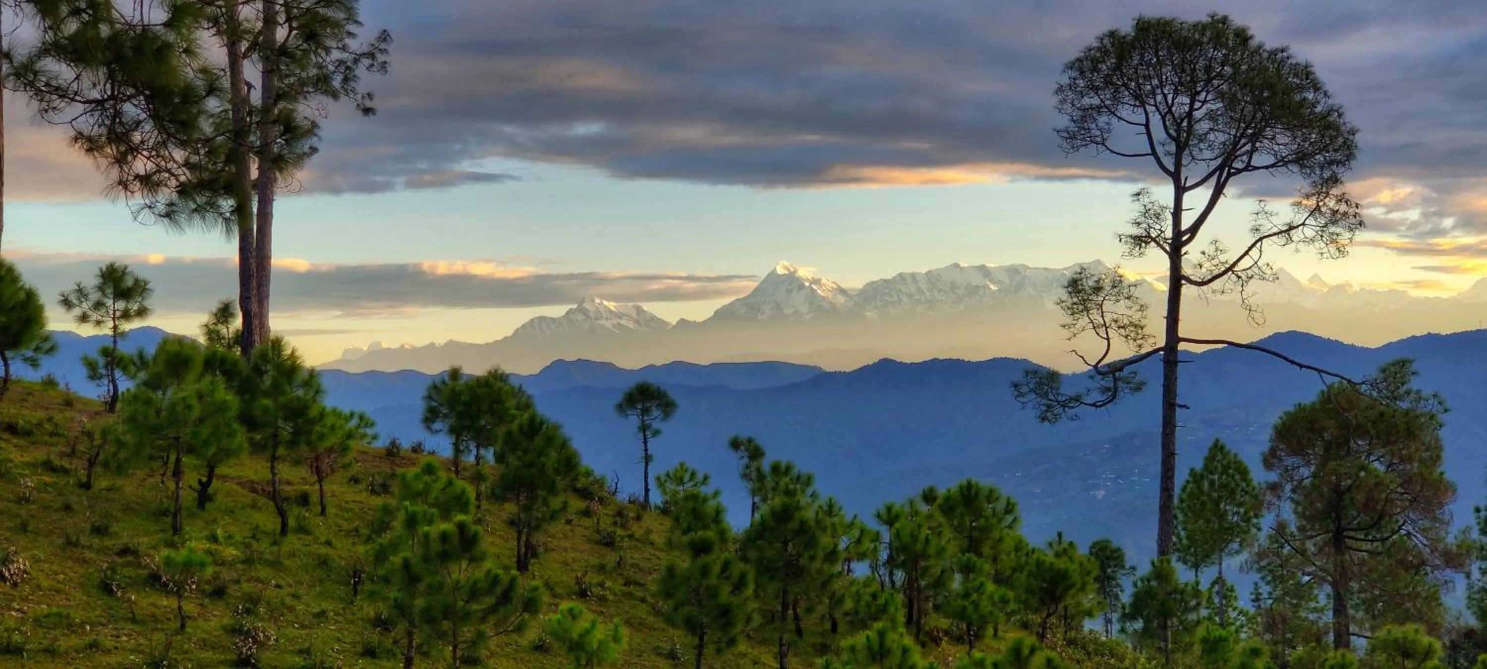Natural landscape in Majkhali Woods, Ranikhet, By Himalayan Eco Lodges