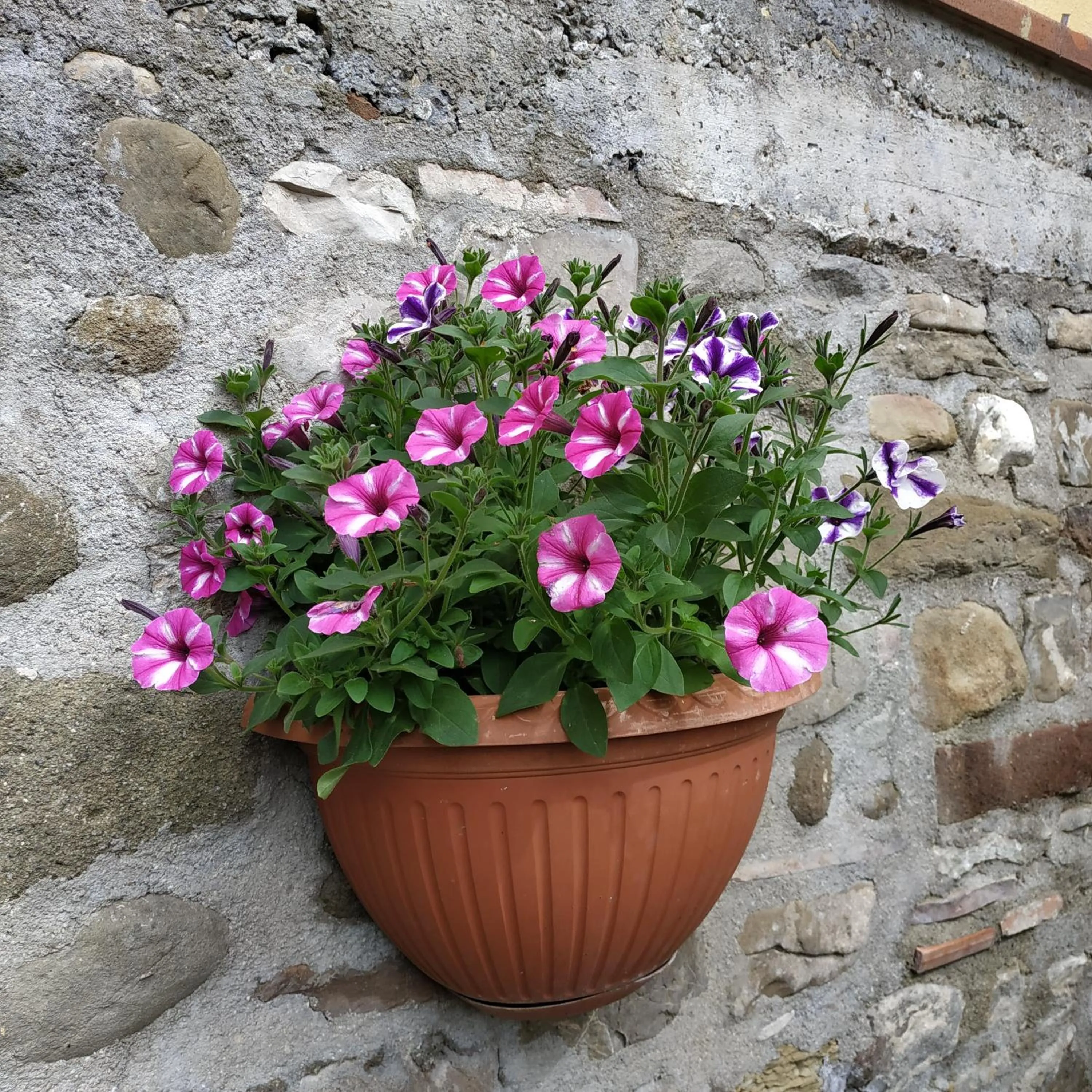 B&B "La Pieve" - Locanda per Viandanti