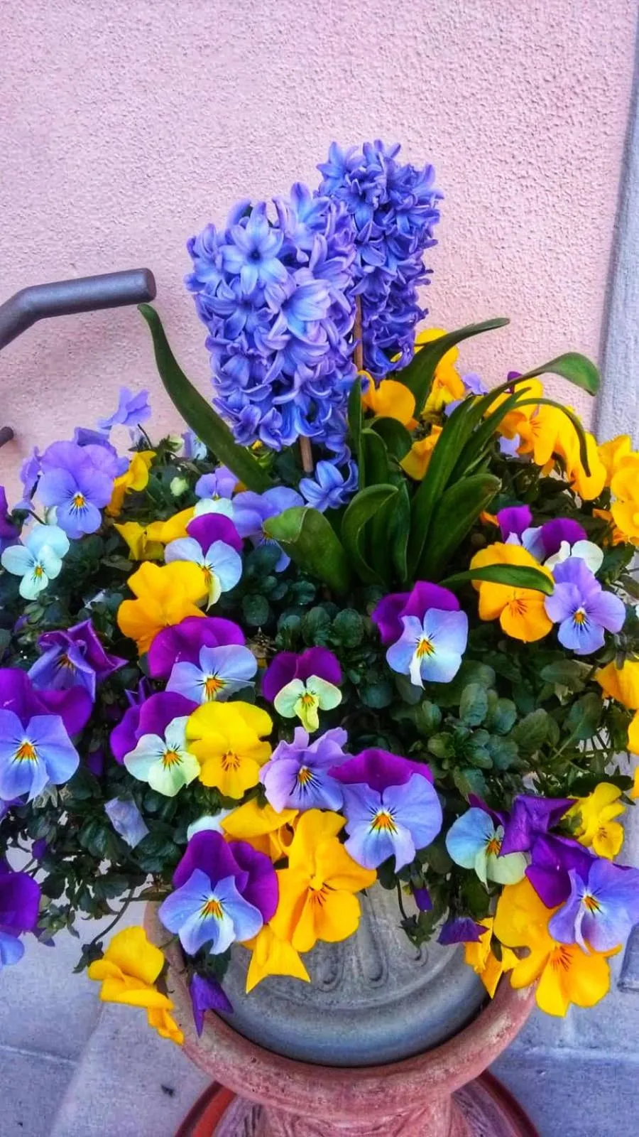 B&B "La Pieve" - Locanda per Viandanti