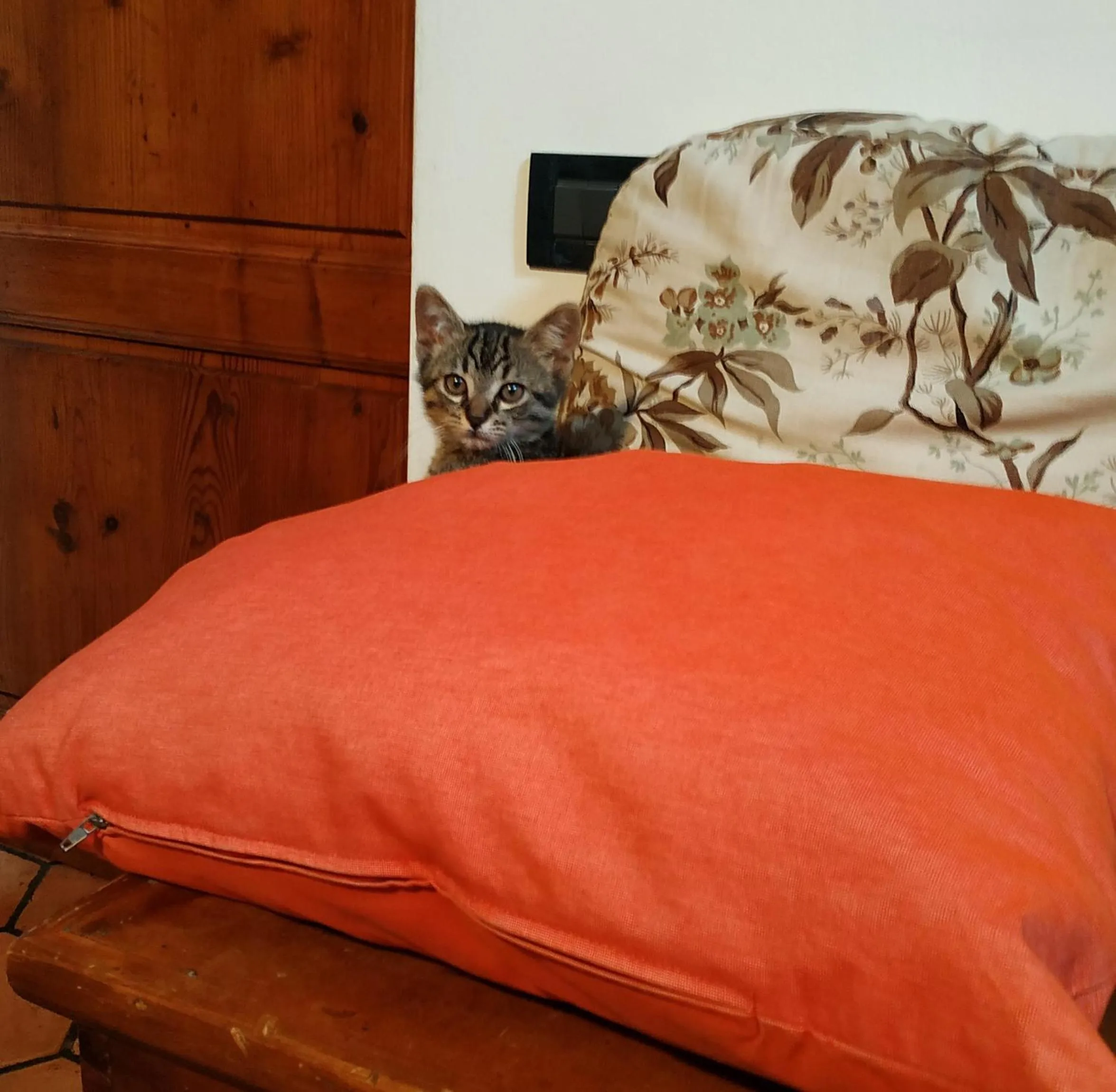 Bed in B&B "La Pieve" - Locanda per Viandanti