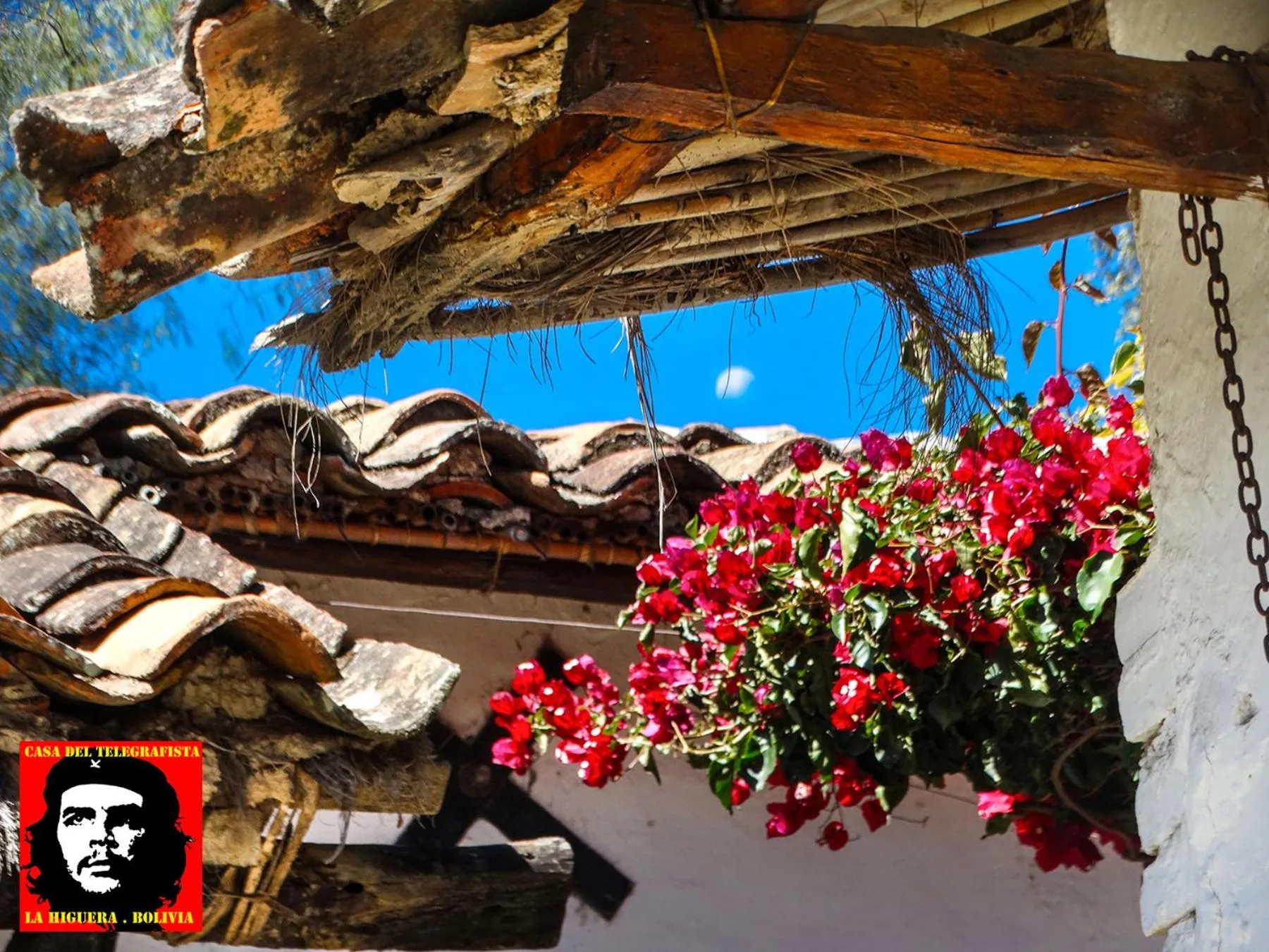 Decorative detail in Casa del Telegrafista