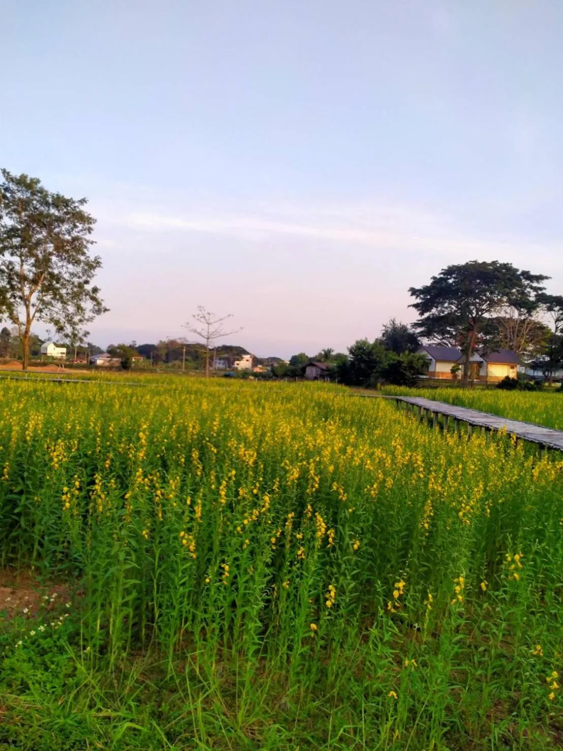 Inner courtyard view in Sasidara Resort Nan