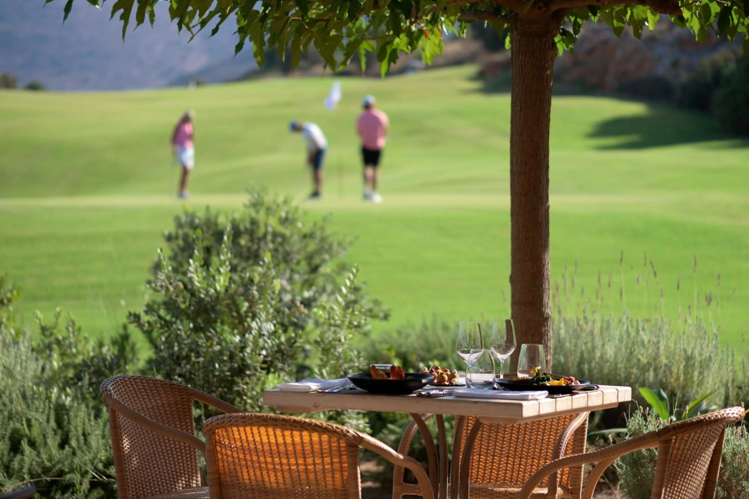 Natural landscape in Crete Golf Club Hotel