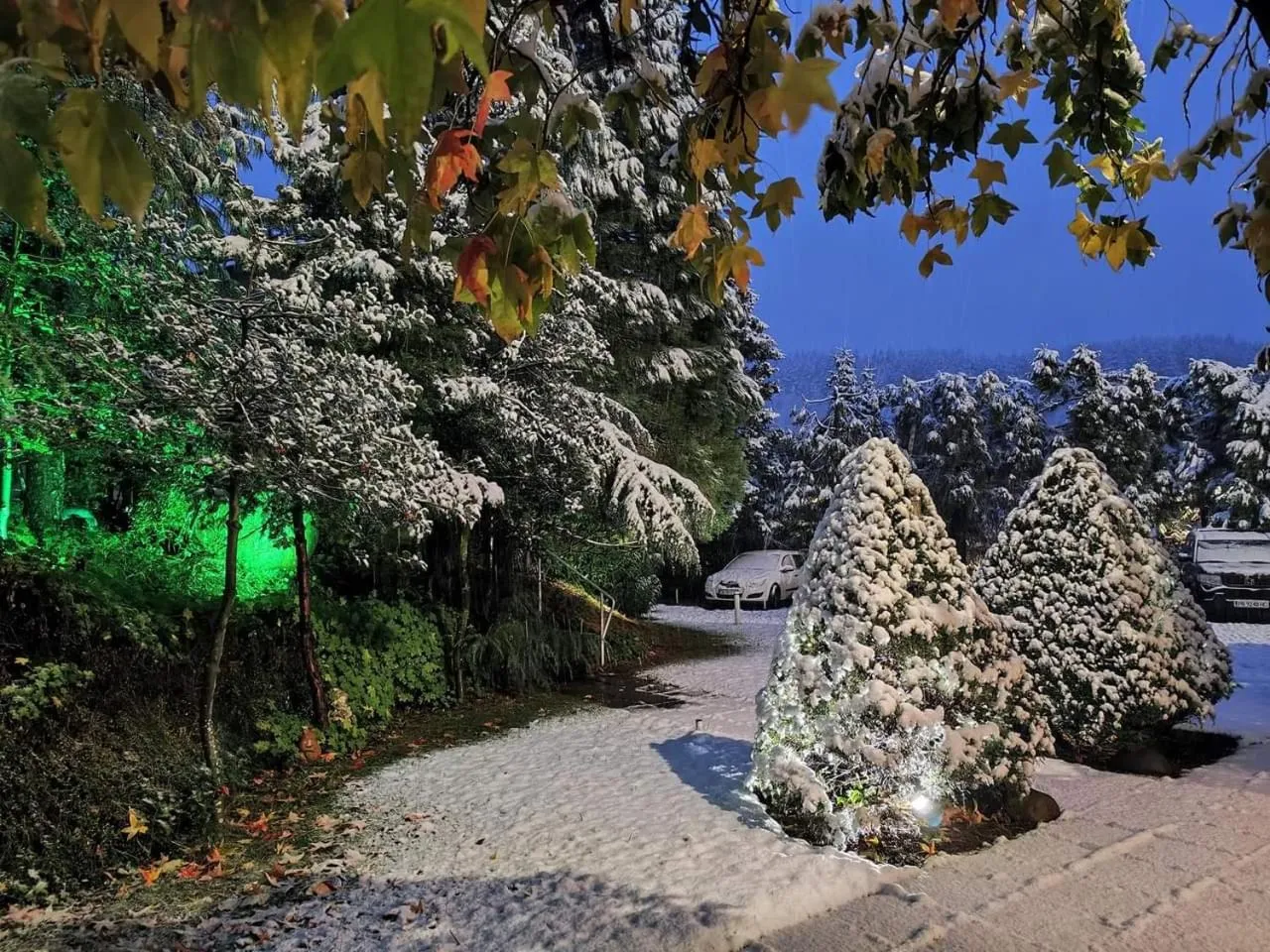 Park Hotel Amfora -Free Parking