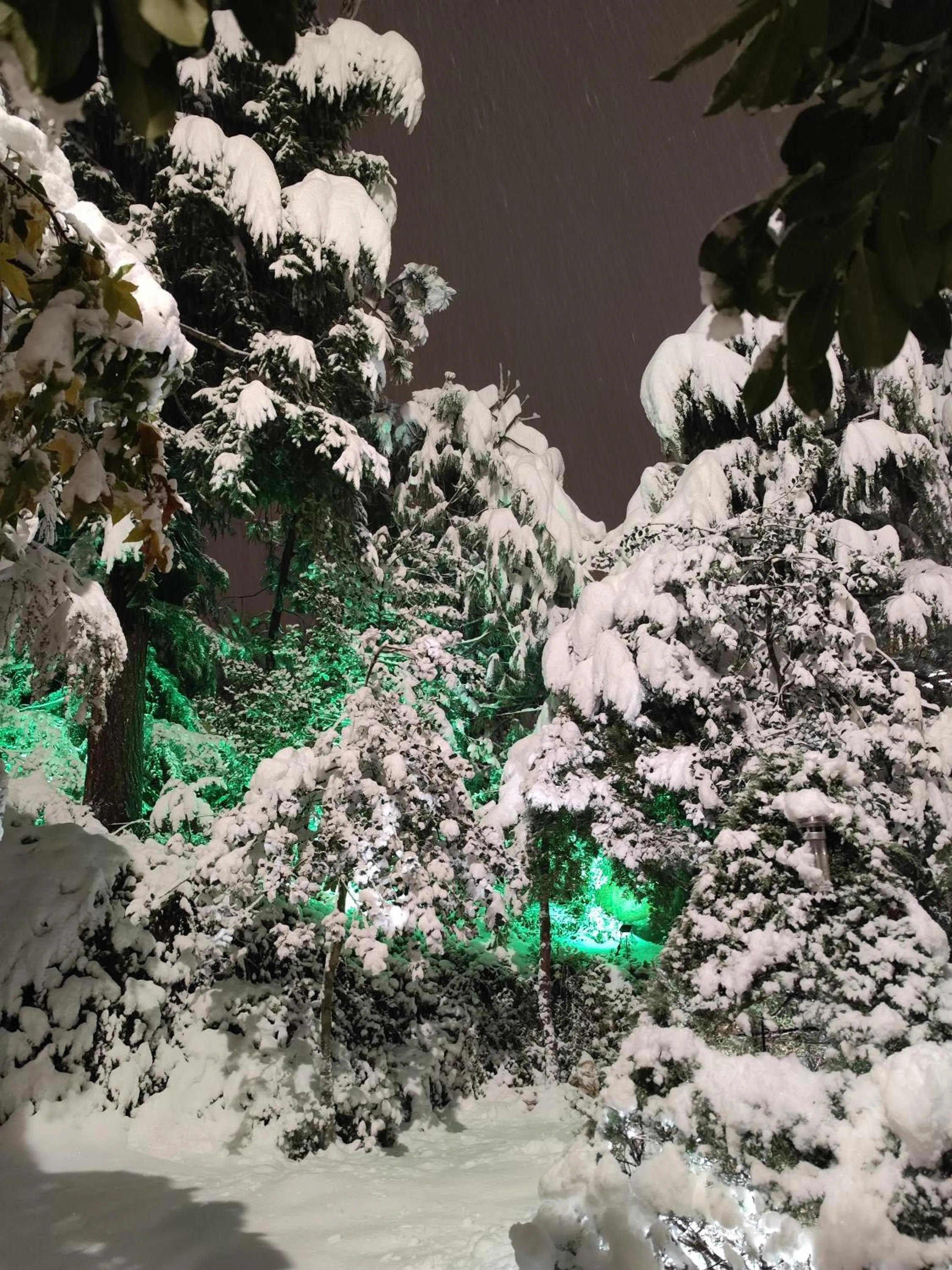 Park Hotel Amfora -Free Parking