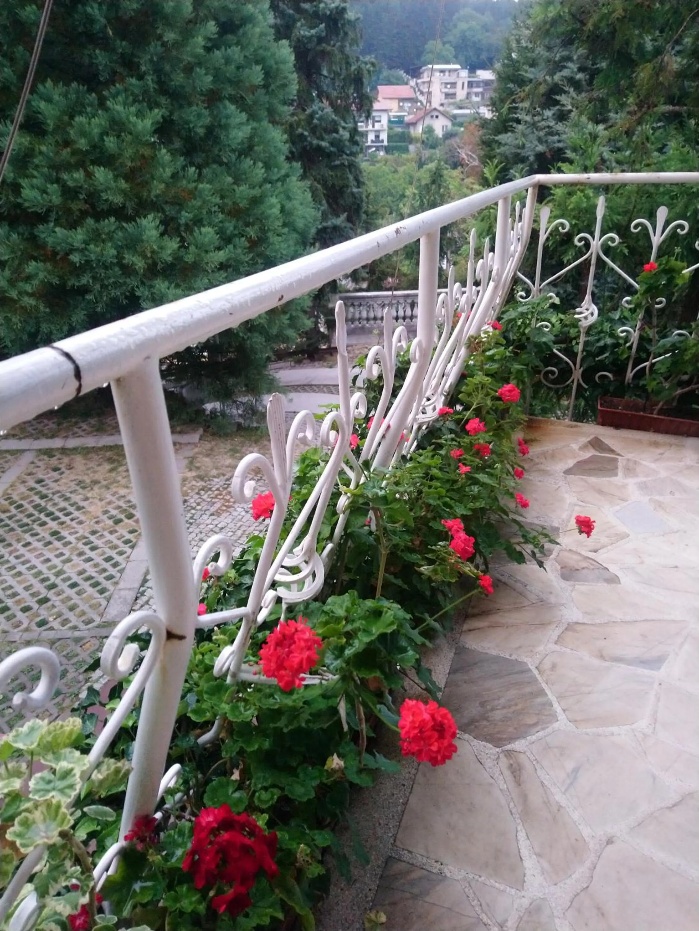 Park Hotel Amfora -Free Parking