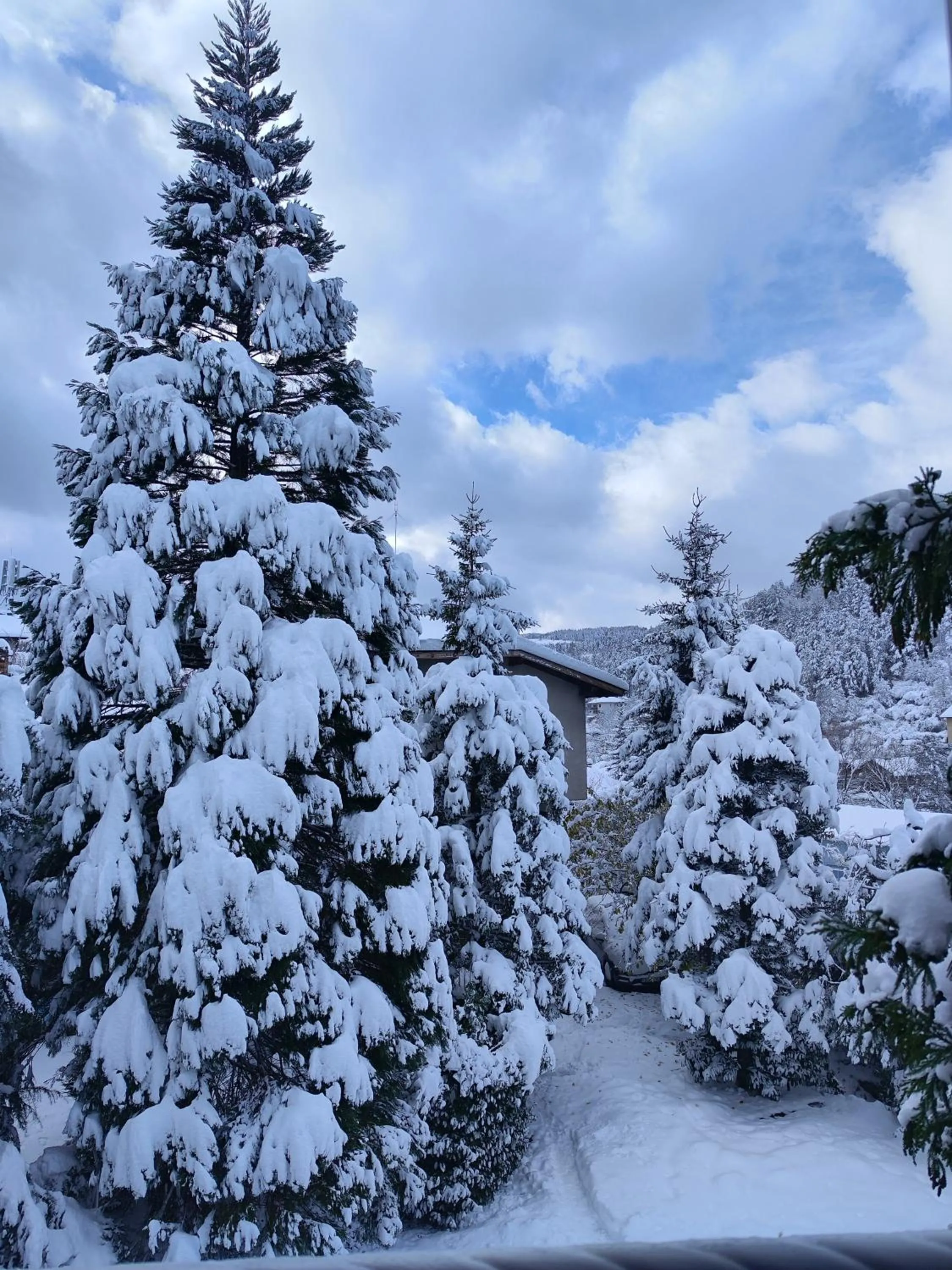 Park Hotel Amfora -Free Parking