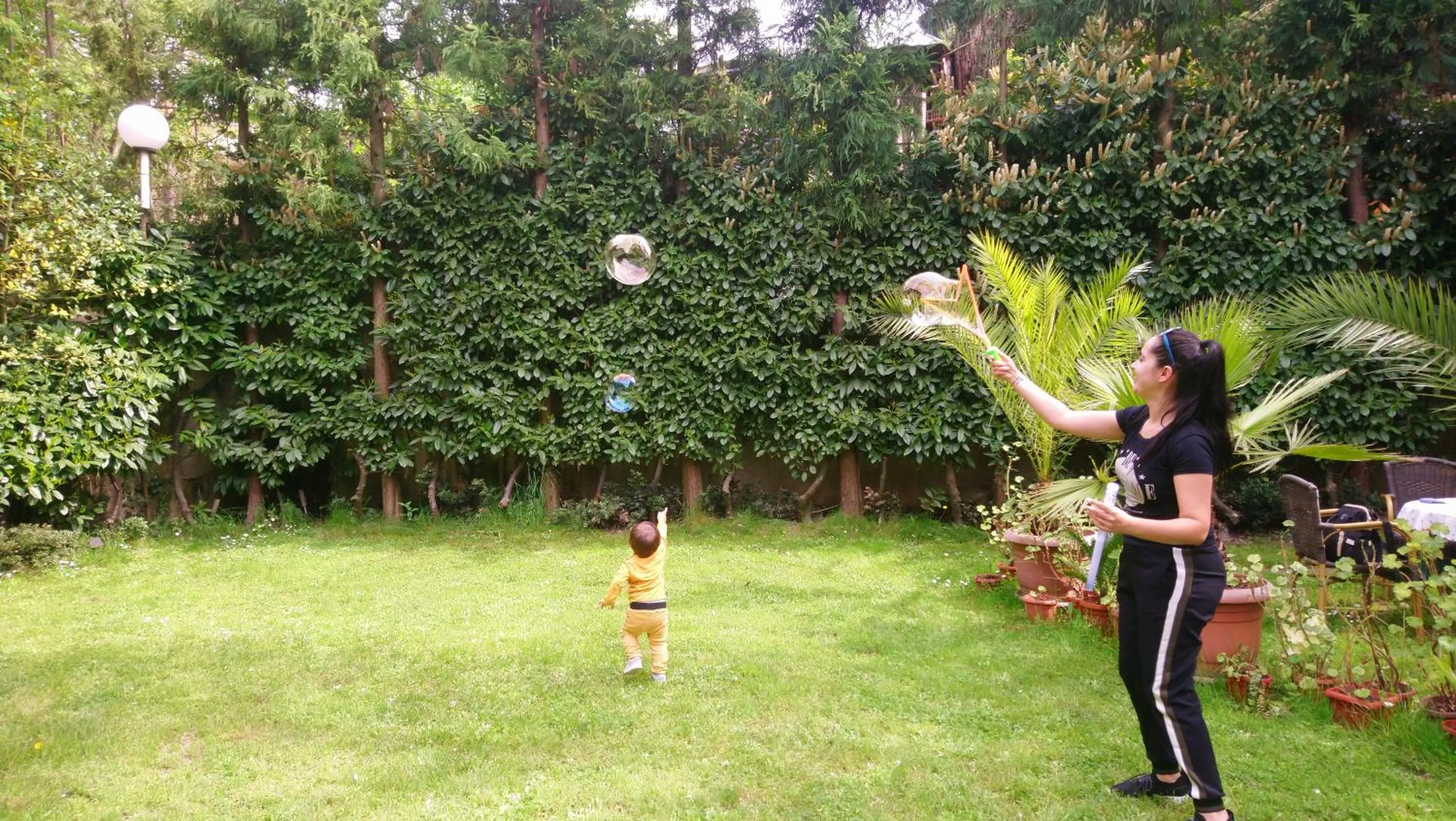 Park Hotel Amfora -Free Parking