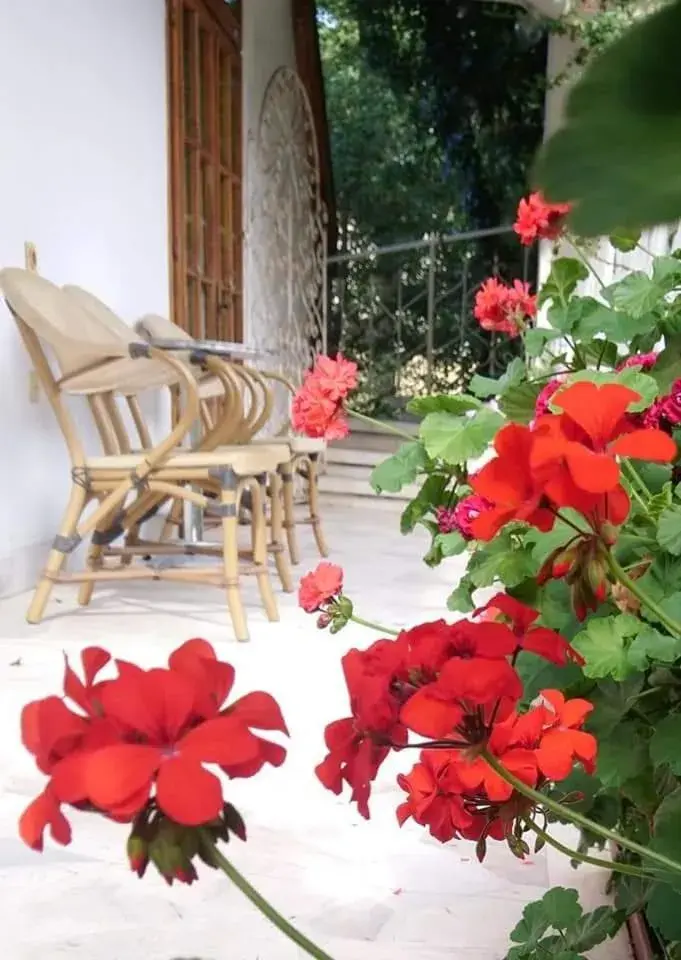 Family Suite with Free Secured Parking in Park Hotel Amfora -Free Parking Family Suite with Free Secured Parking in Park Hotel Amfora -Free Parking