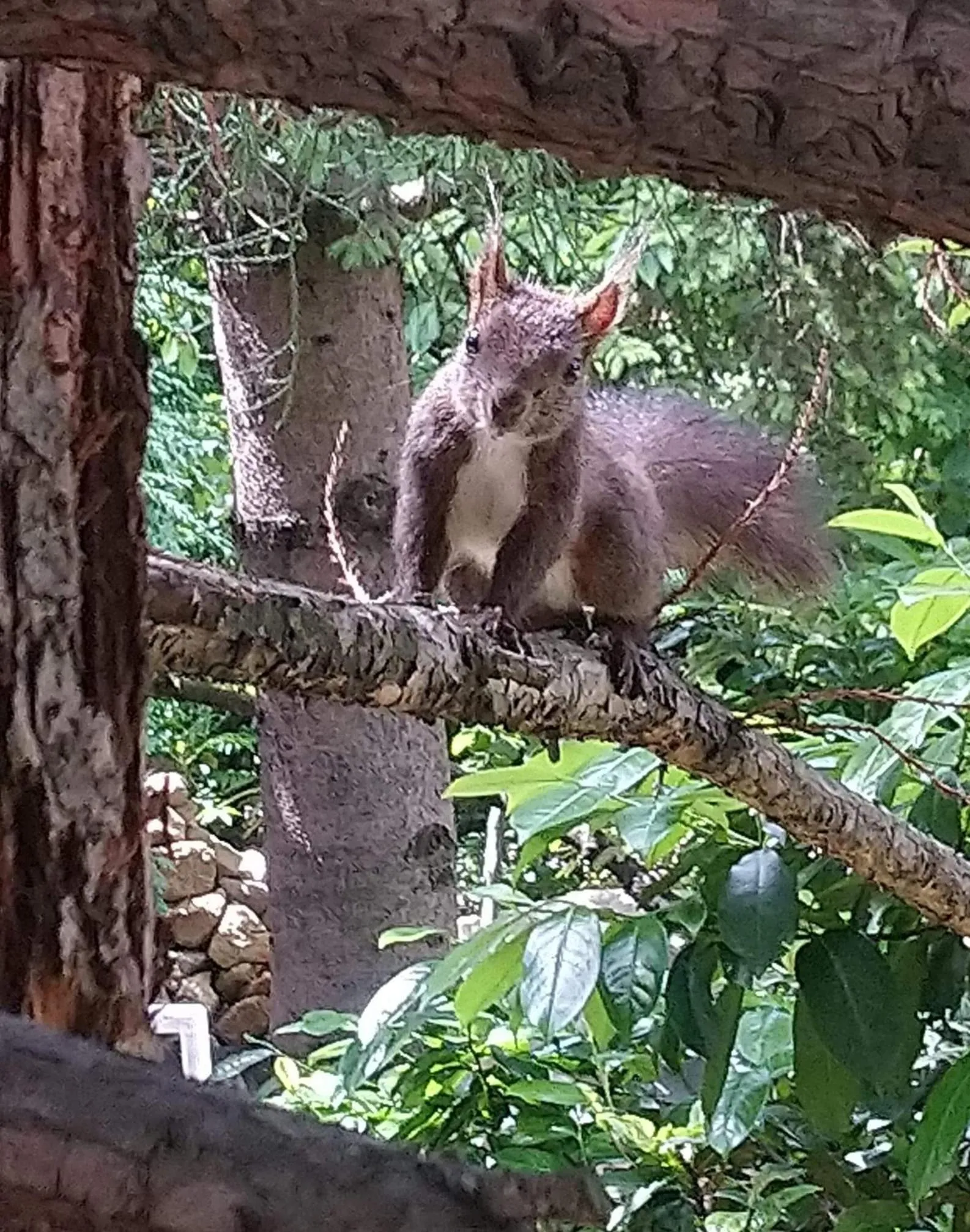 Park Hotel Amfora -Free Parking