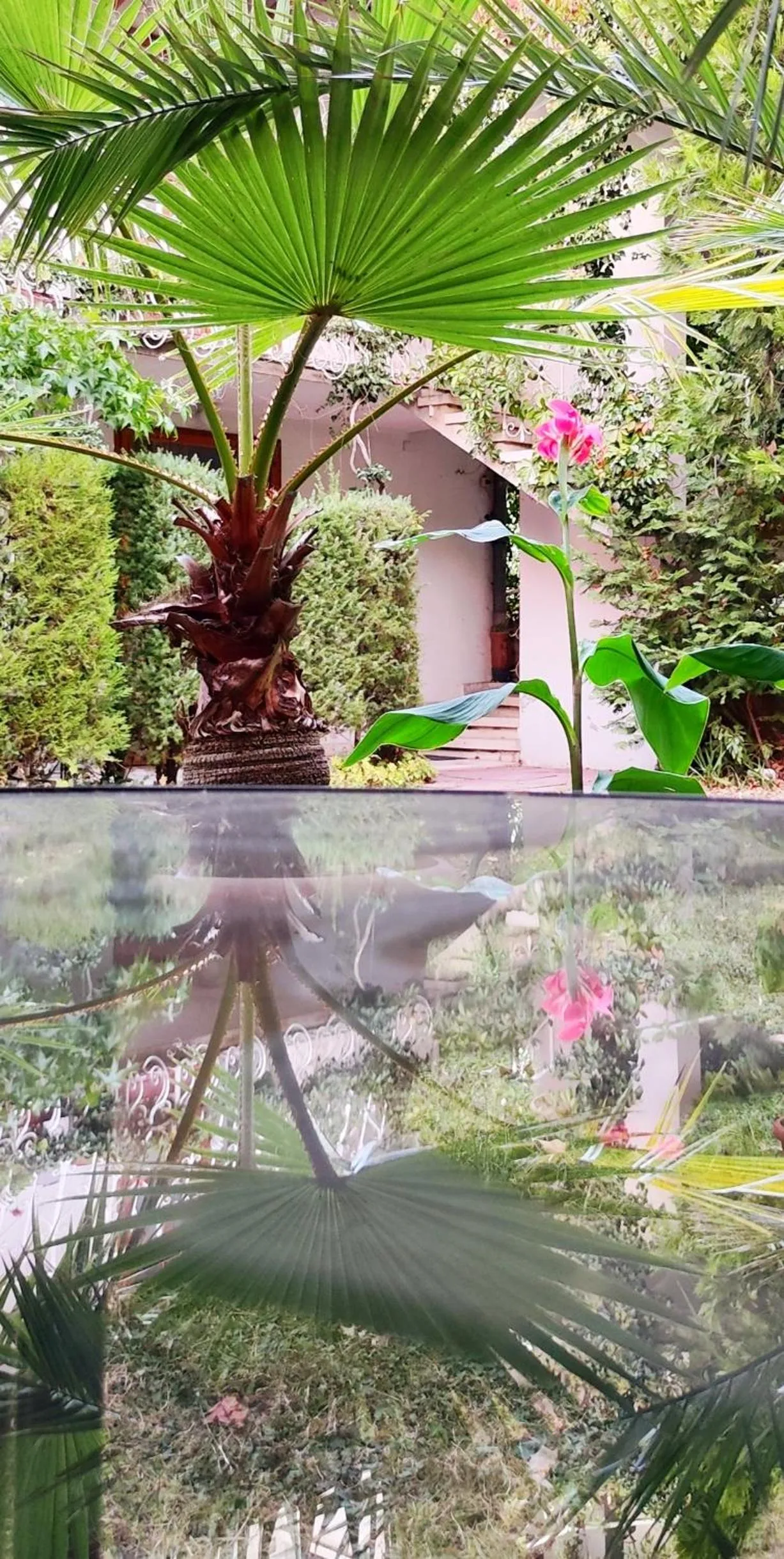 Park Hotel Amfora -Free Parking