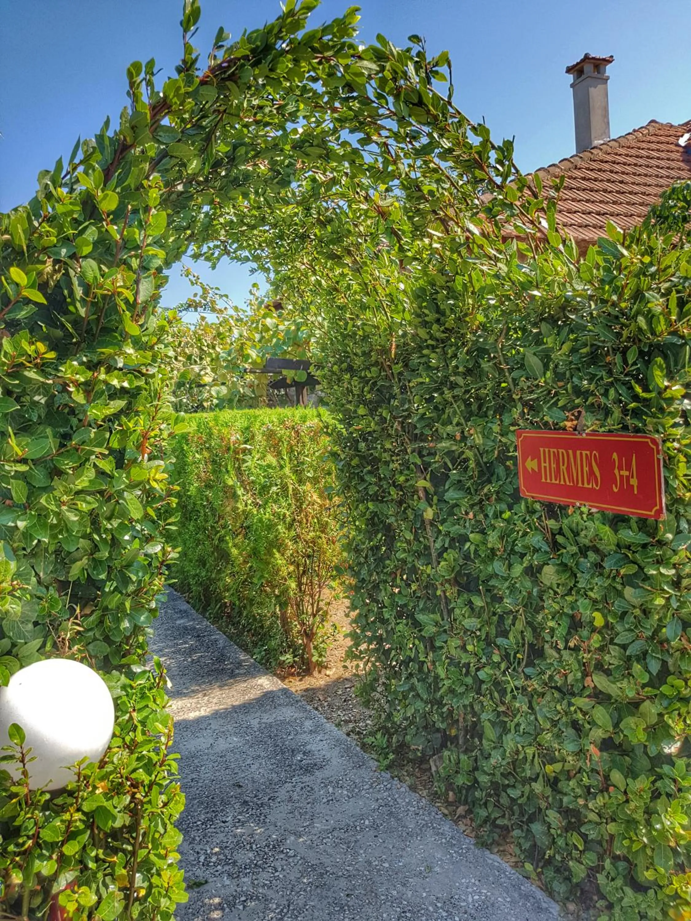 Garden in Loriet Hotel