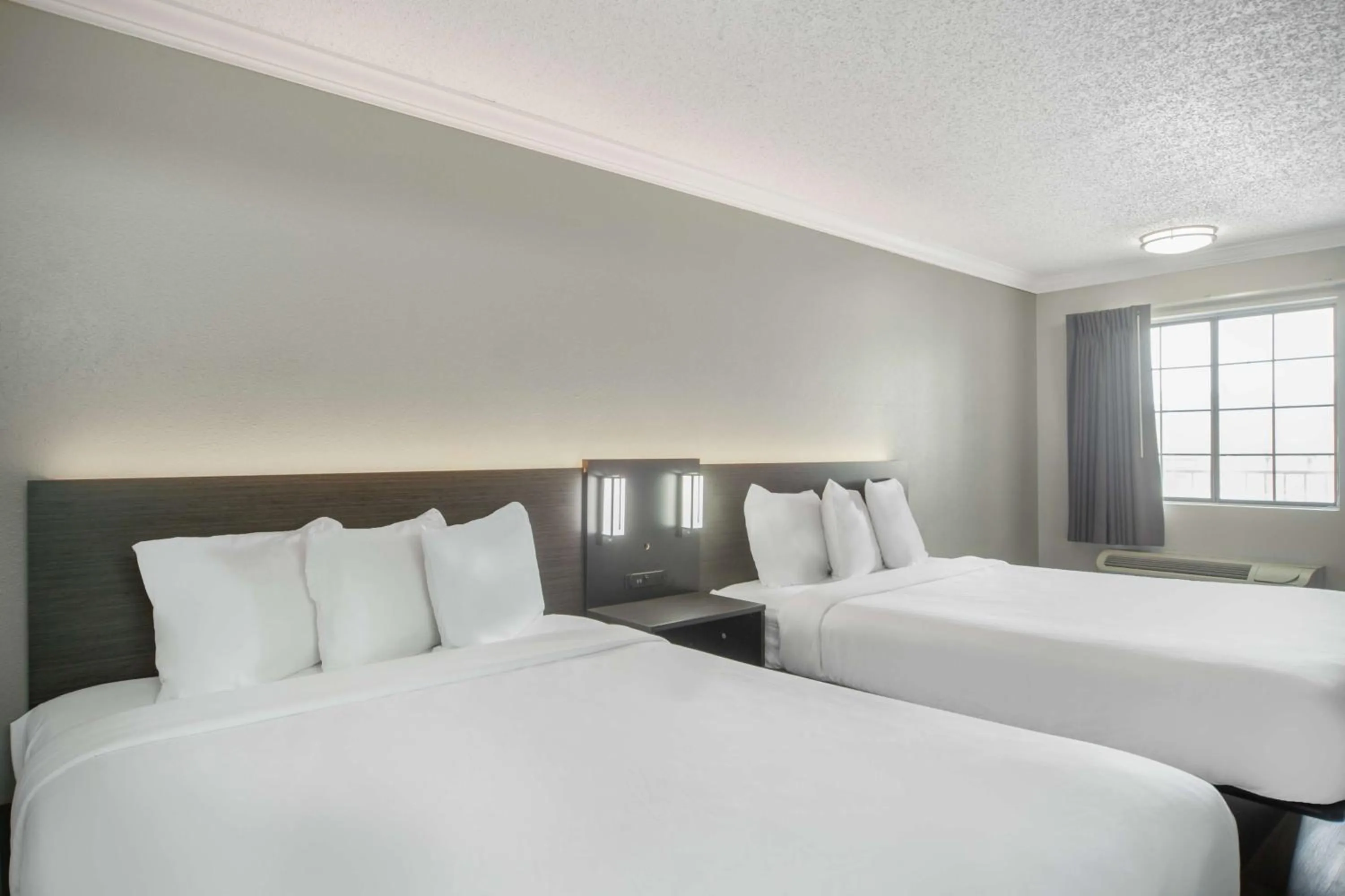 Bedroom, Bed in Motel 6 San Antonio, TX I-35 North Corridor