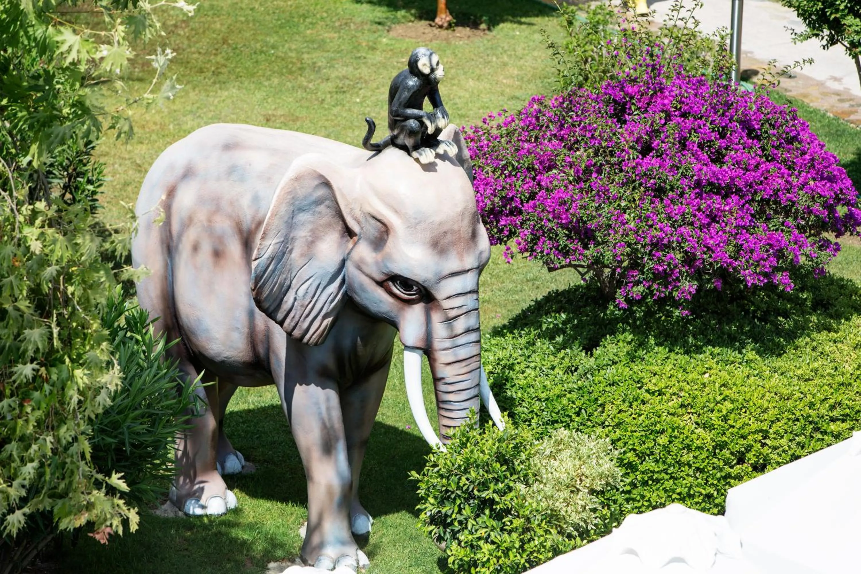 Garden in Alba Resort Hotel - Ultra All Inclusive