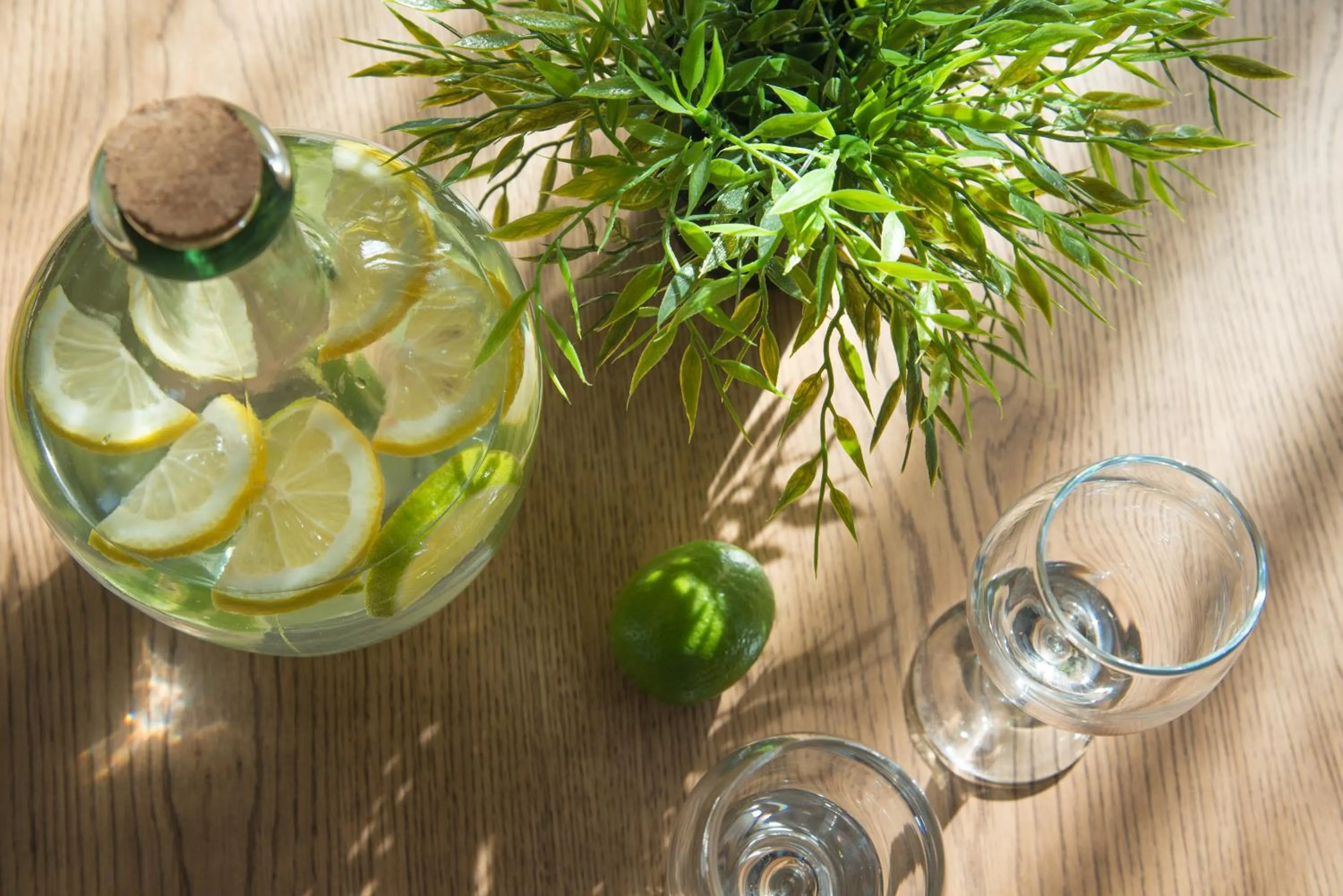 Food and drinks in Expo Hotel Sofia - Free Airport Shuttle