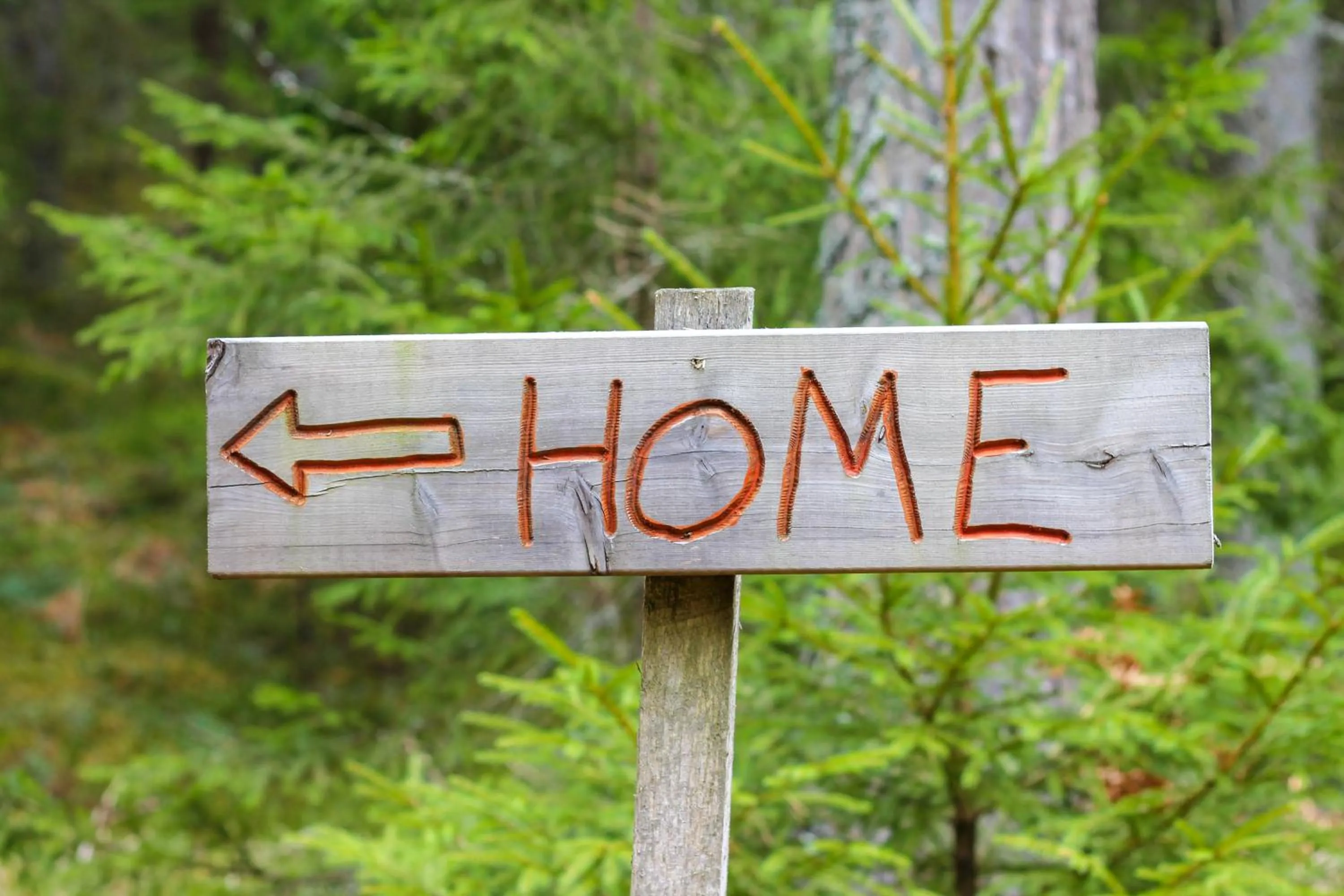 Activities in Ödevata Gårdshotell