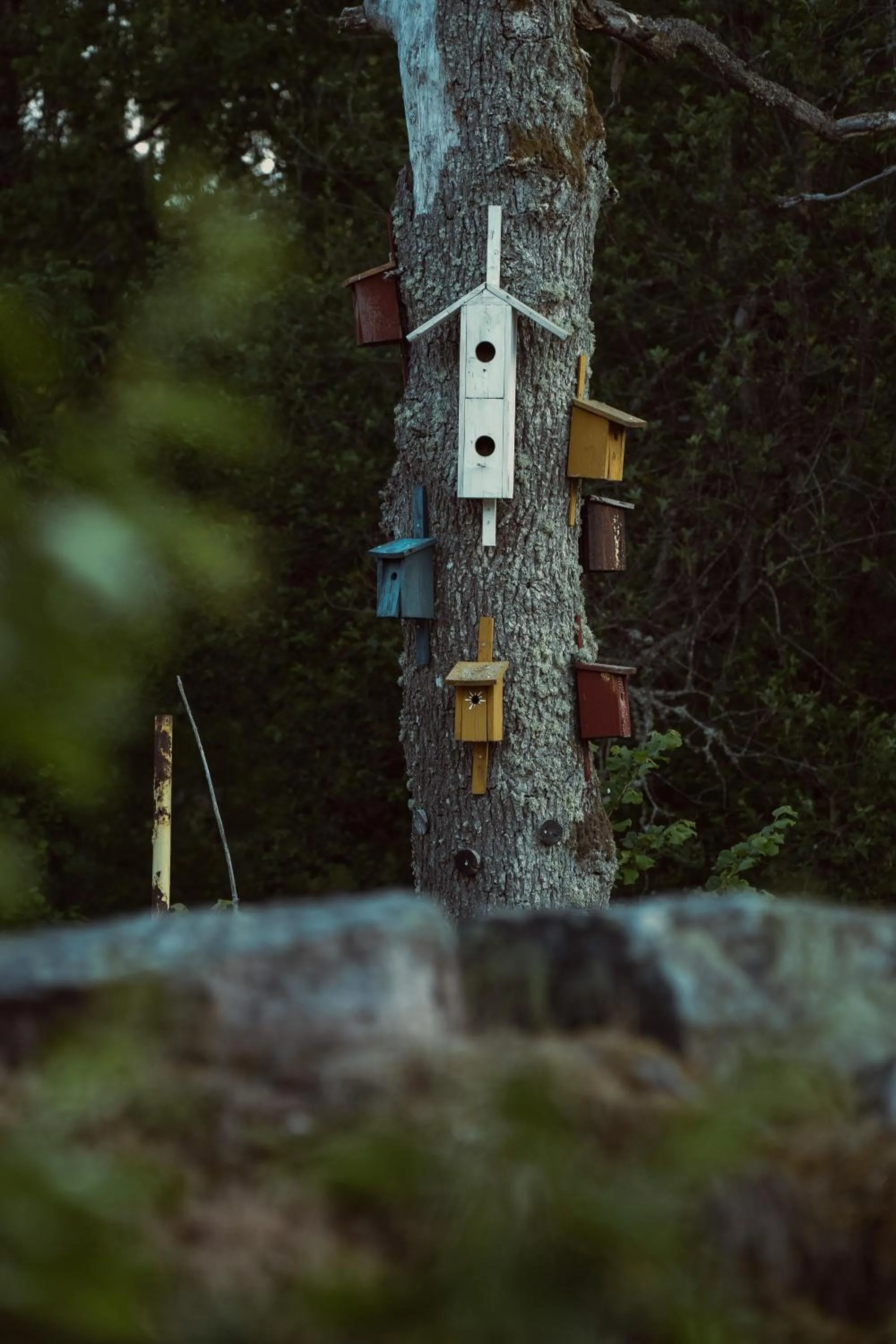 Natural landscape in Ödevata Gårdshotell