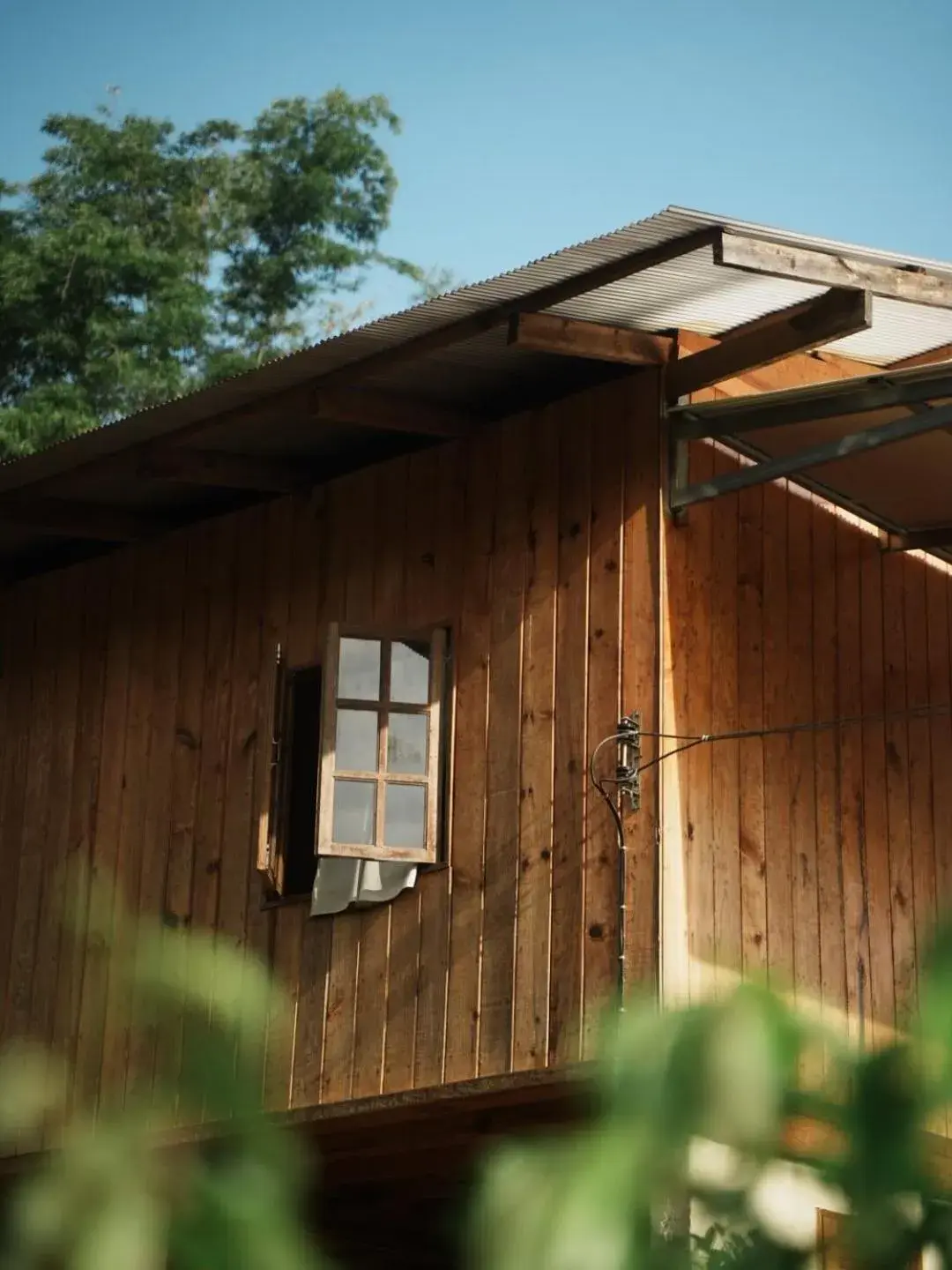 Single Room with Shared Shower and Toilet - single occupancy in Nongtao Homestay Single Room with Shared Shower and Toilet - single occupancy in Nongtao Homestay