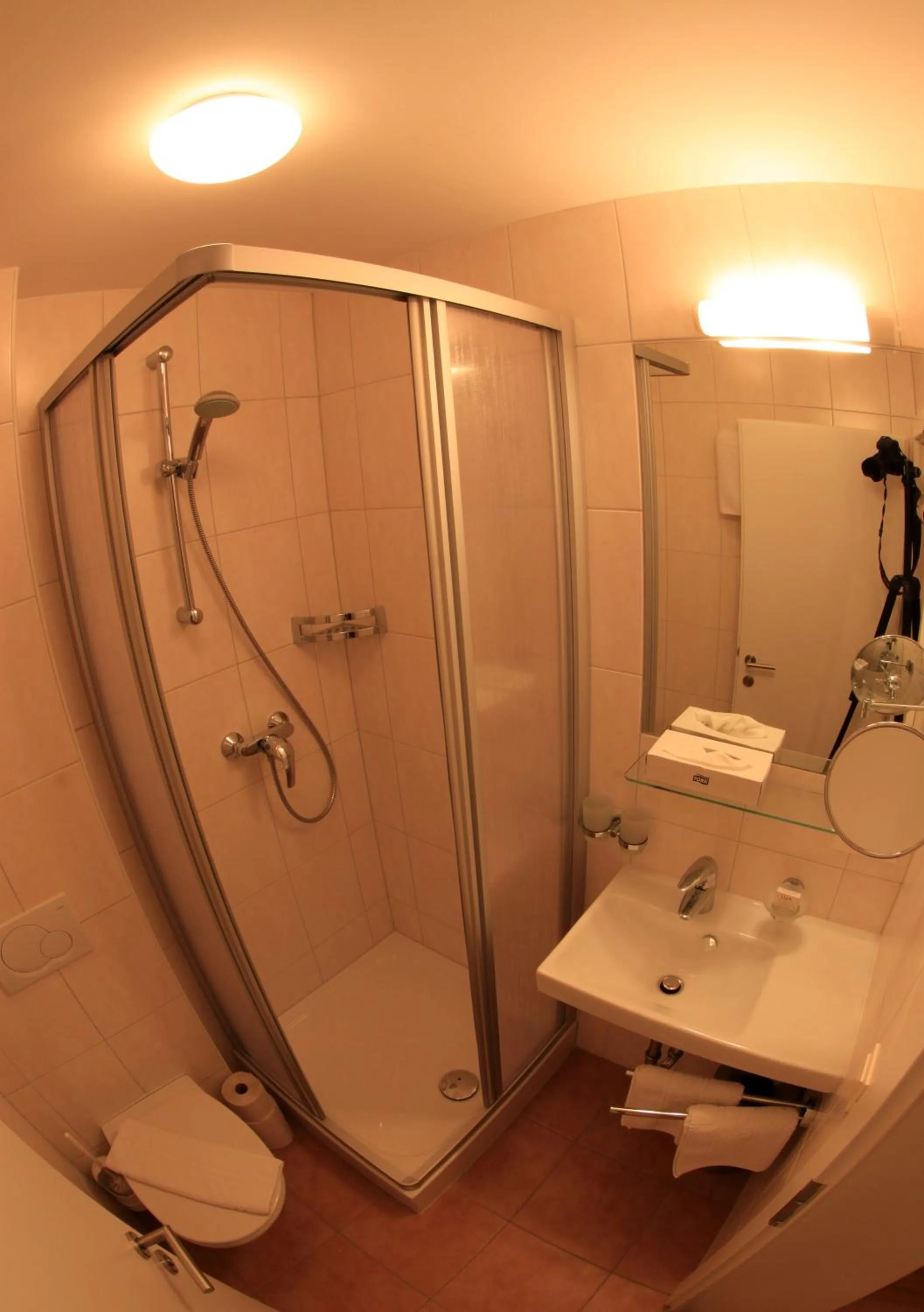 Shower in Bio-Pension Bliem