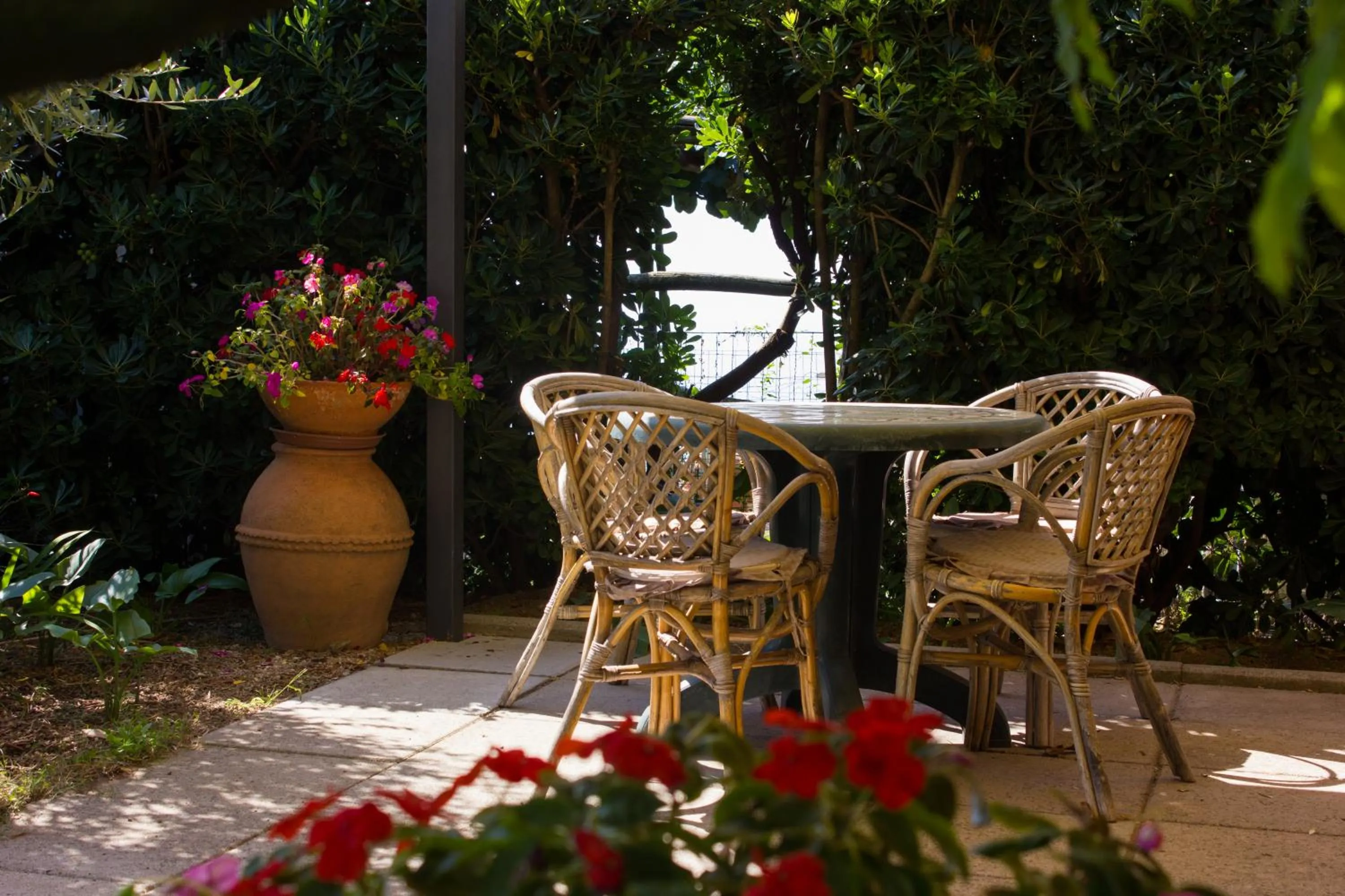 Patio in Villa Donna Fausta