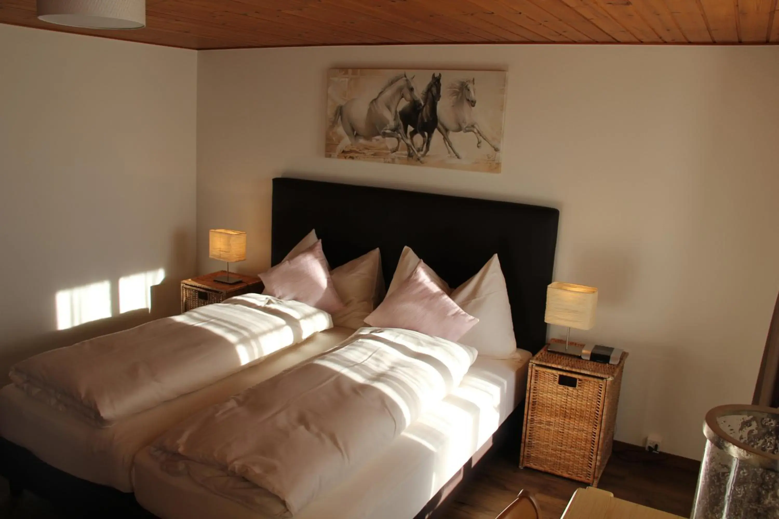 Double Room with Shower - single occupancy in Hotel Restaurant Rössli Double Room with Shower - single occupancy in Hotel Restaurant Rössli