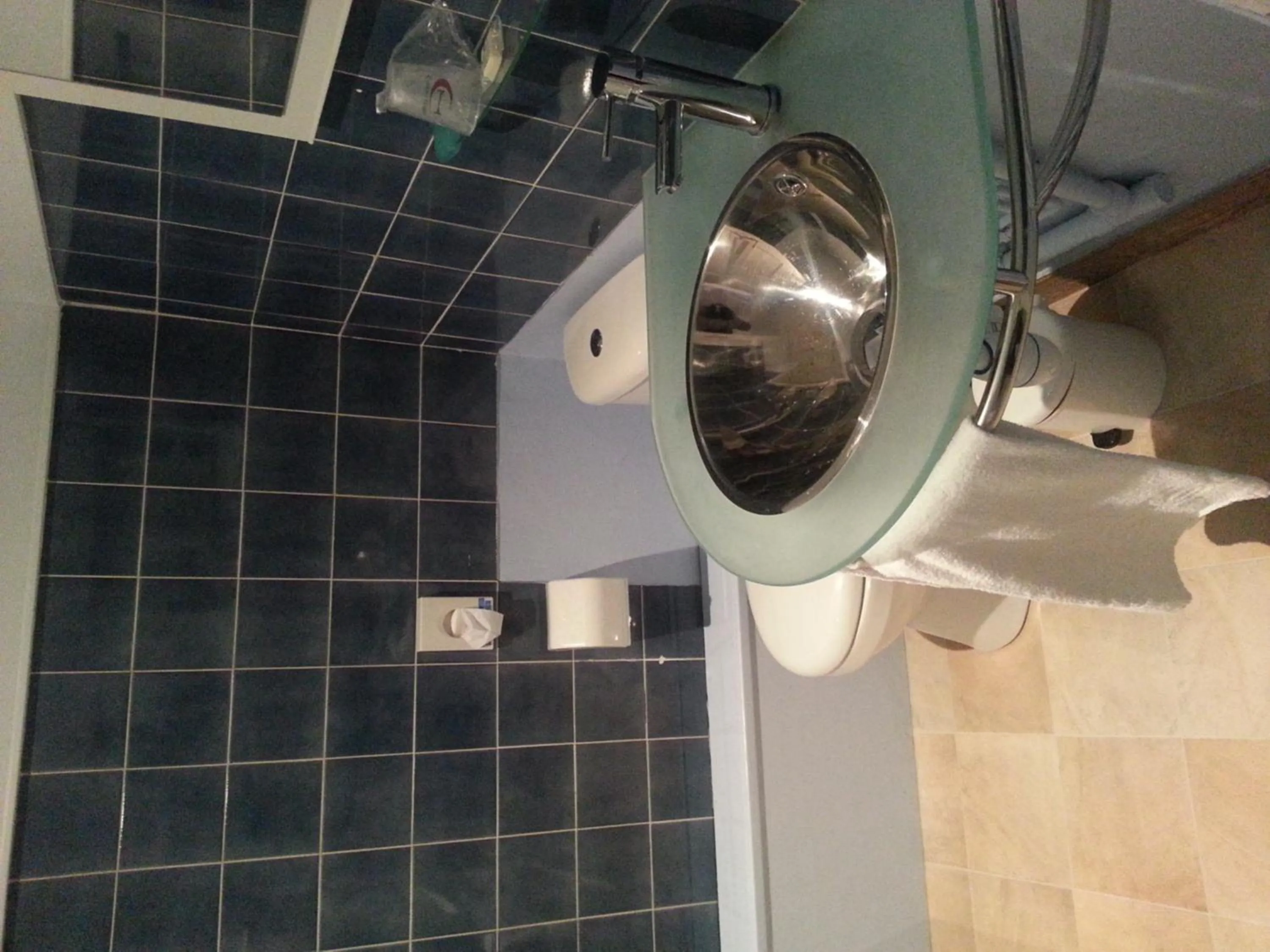 Bathroom in Hotel du Cygne