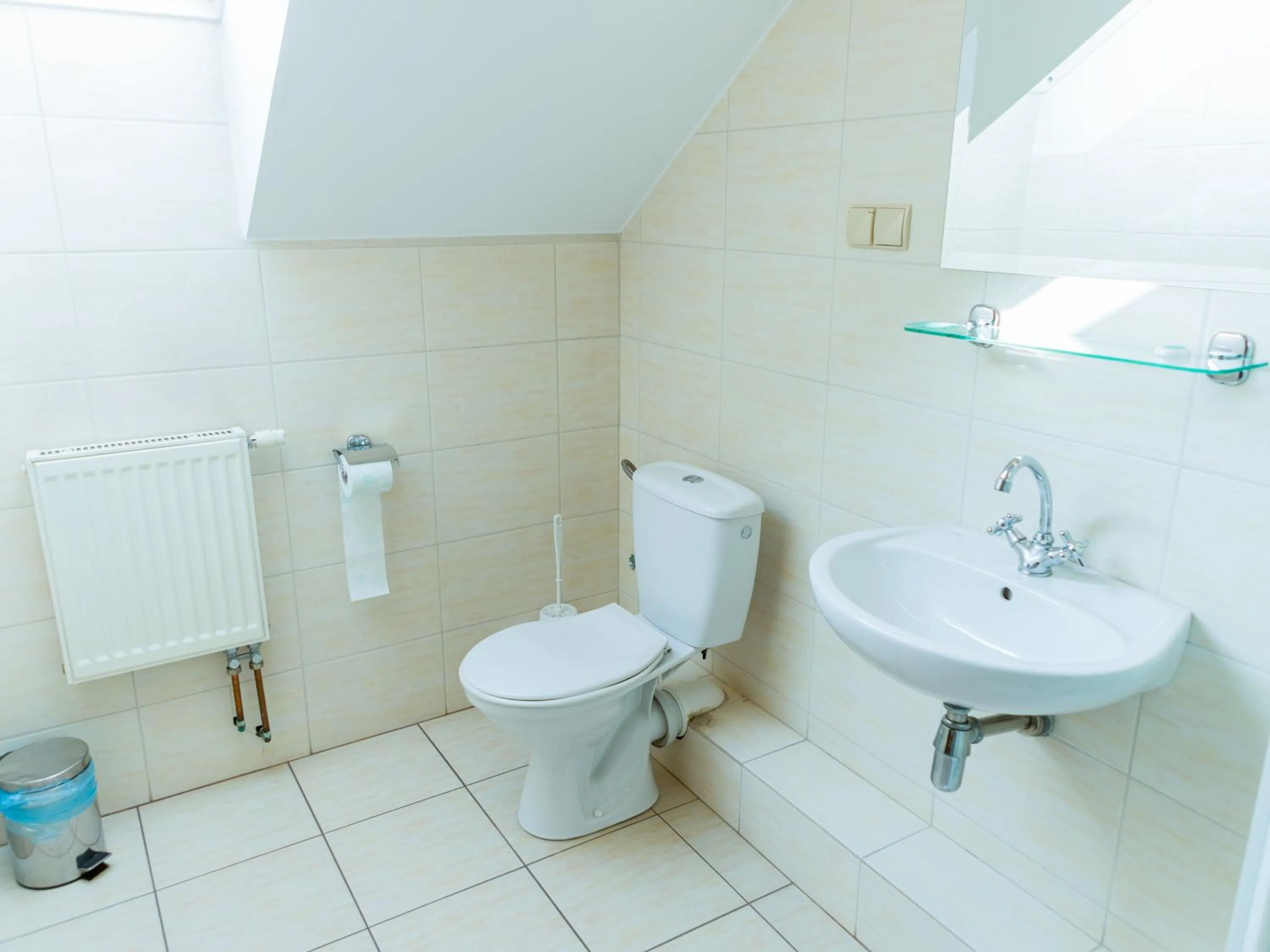 Toilet in Stary Młyn