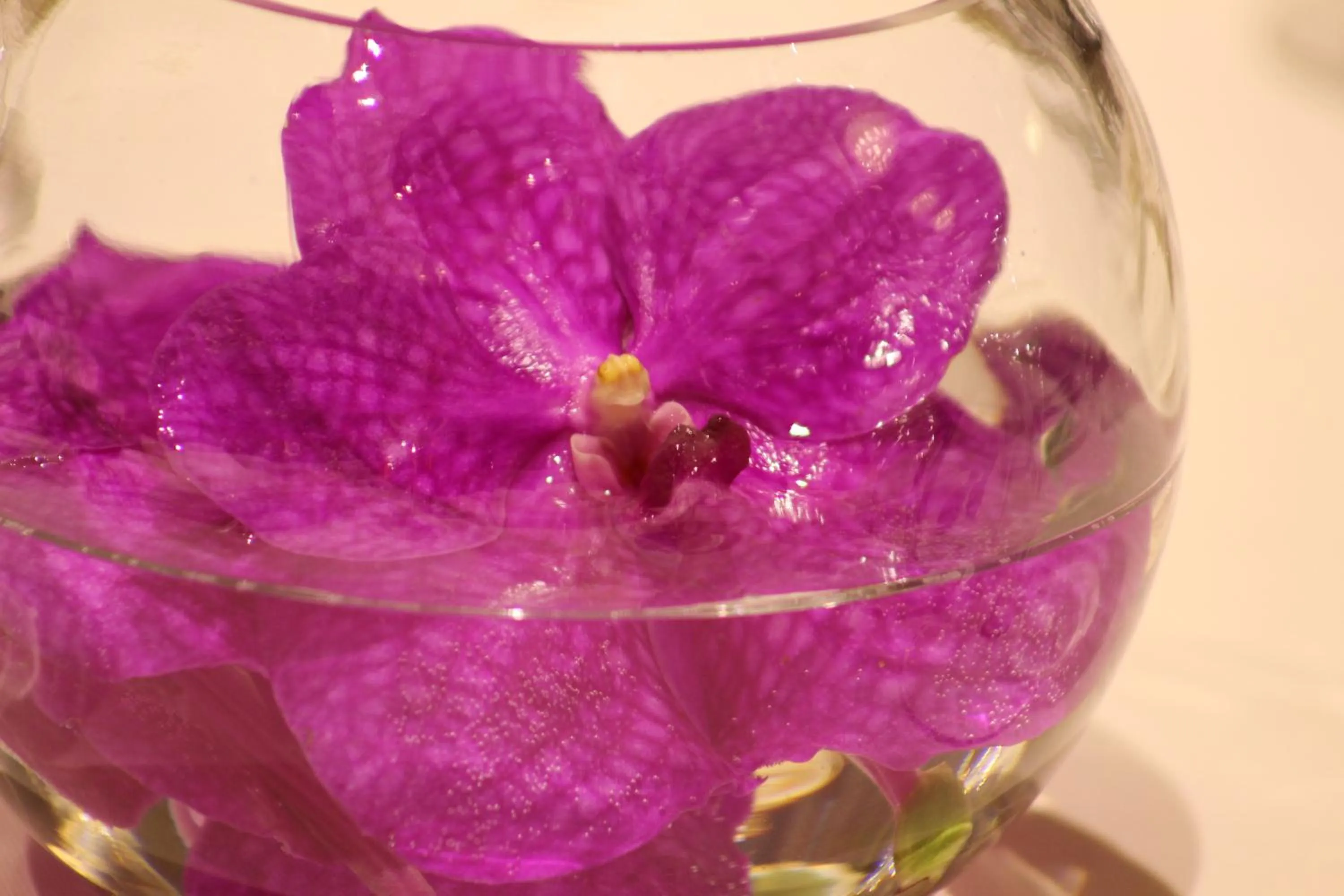 Decorative detail in Casa Boyana Boutique Hotel