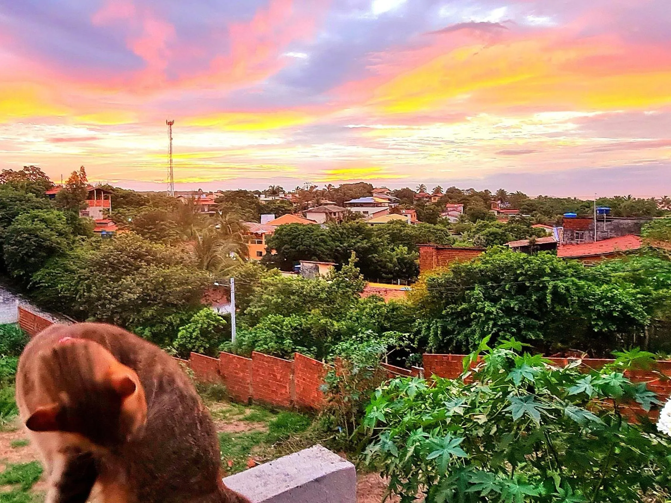 Natural landscape in Di Pipa Rooms - Hidromassagem Externa