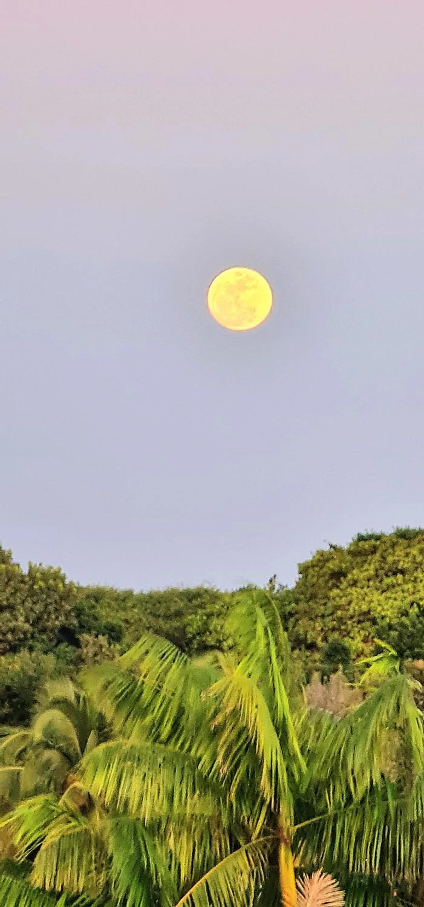 Natural landscape in Di Pipa Rooms - Hidromassagem Externa