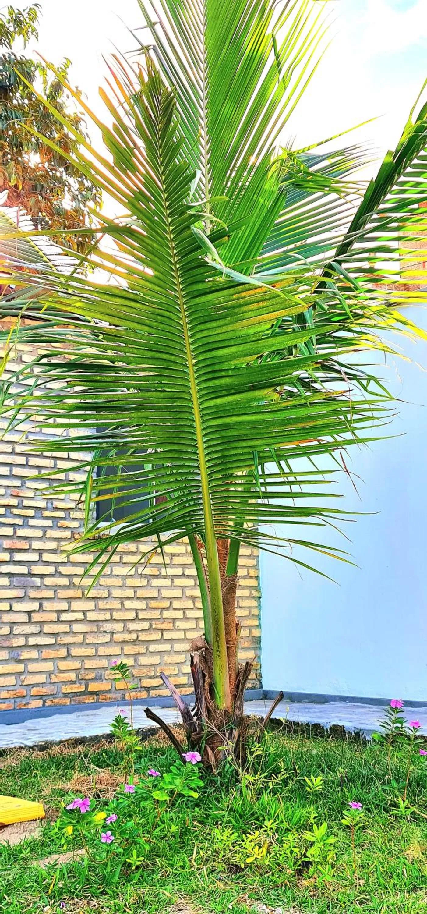 Garden in Di Pipa Rooms - Hidromassagem Externa