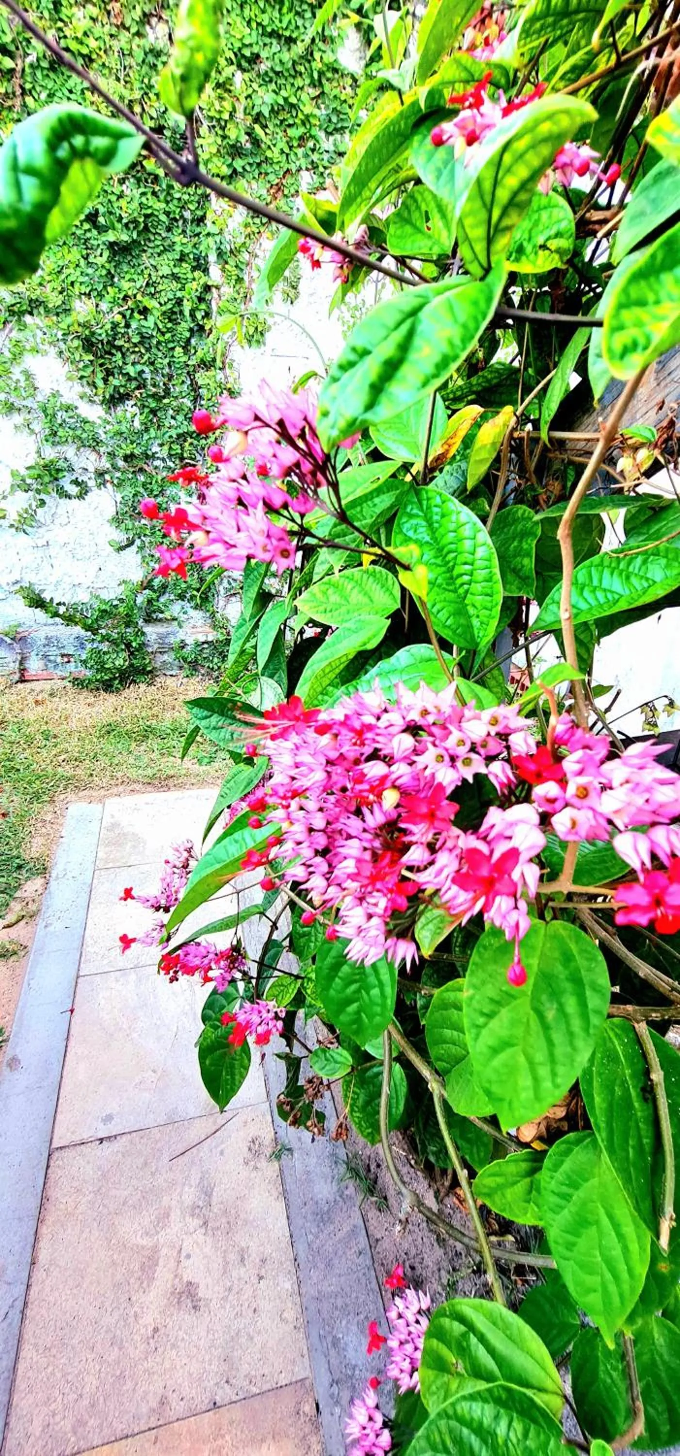 Patio in Di Pipa Rooms - Hidromassagem Externa