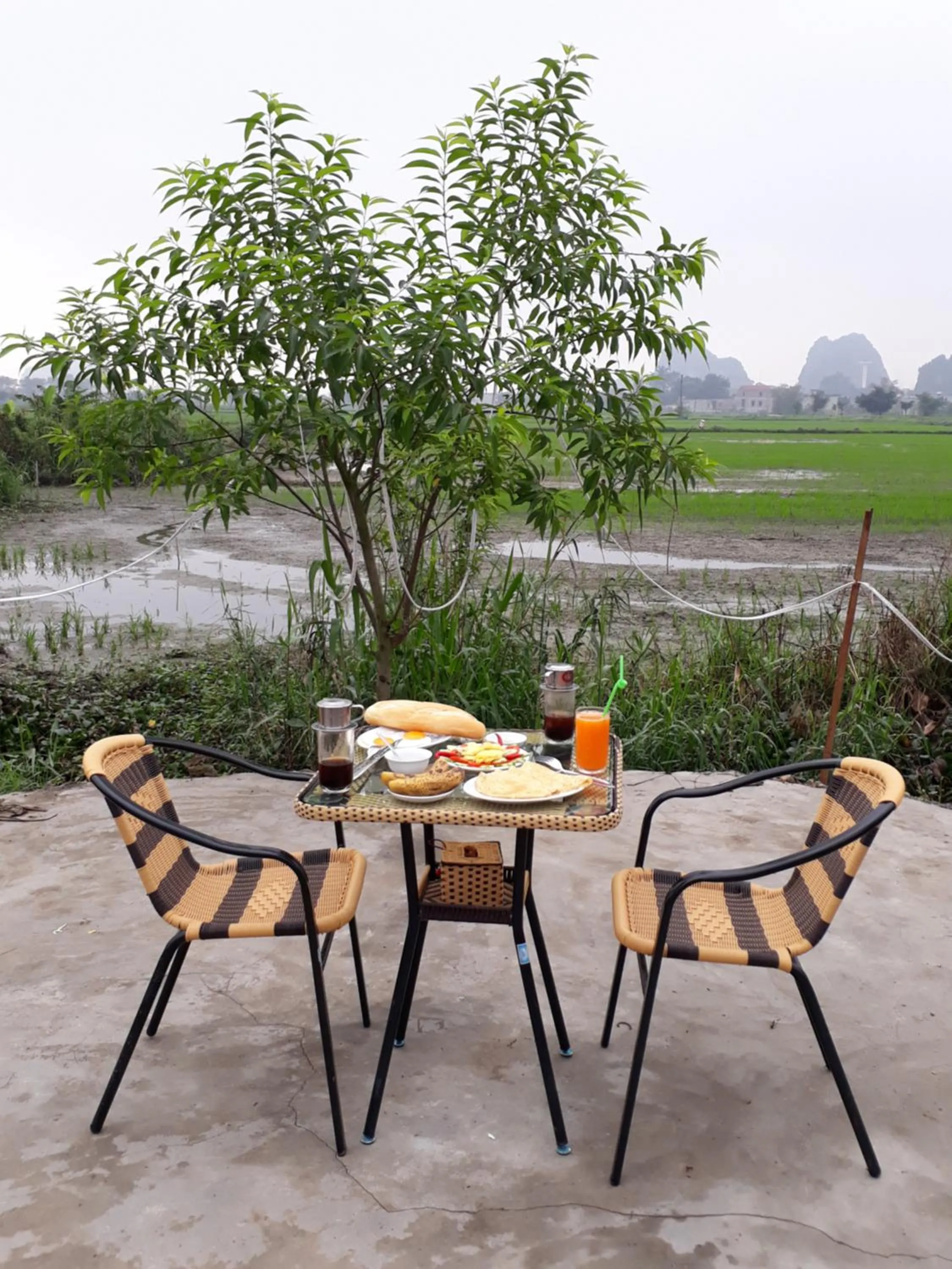 Food and drinks in Tam Coc Rice Fields Homestay