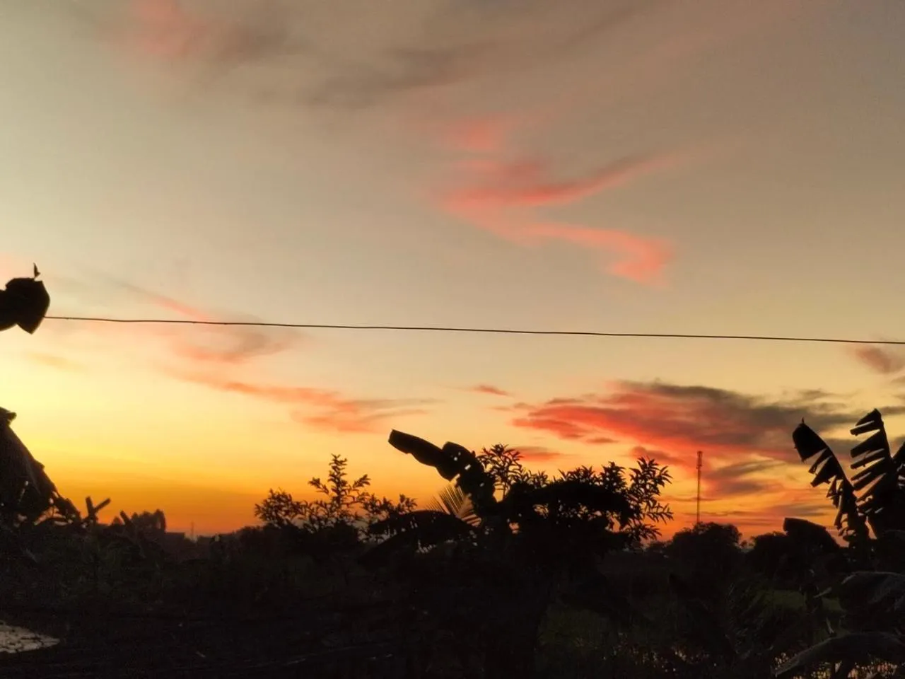 Neighbourhood in Tam Coc Rice Fields Homestay