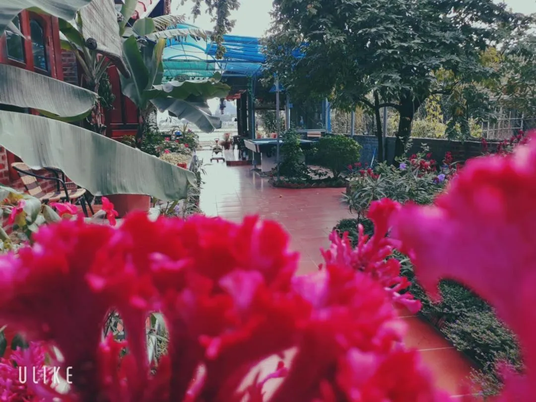 Neighbourhood in Tam Coc Rice Fields Homestay