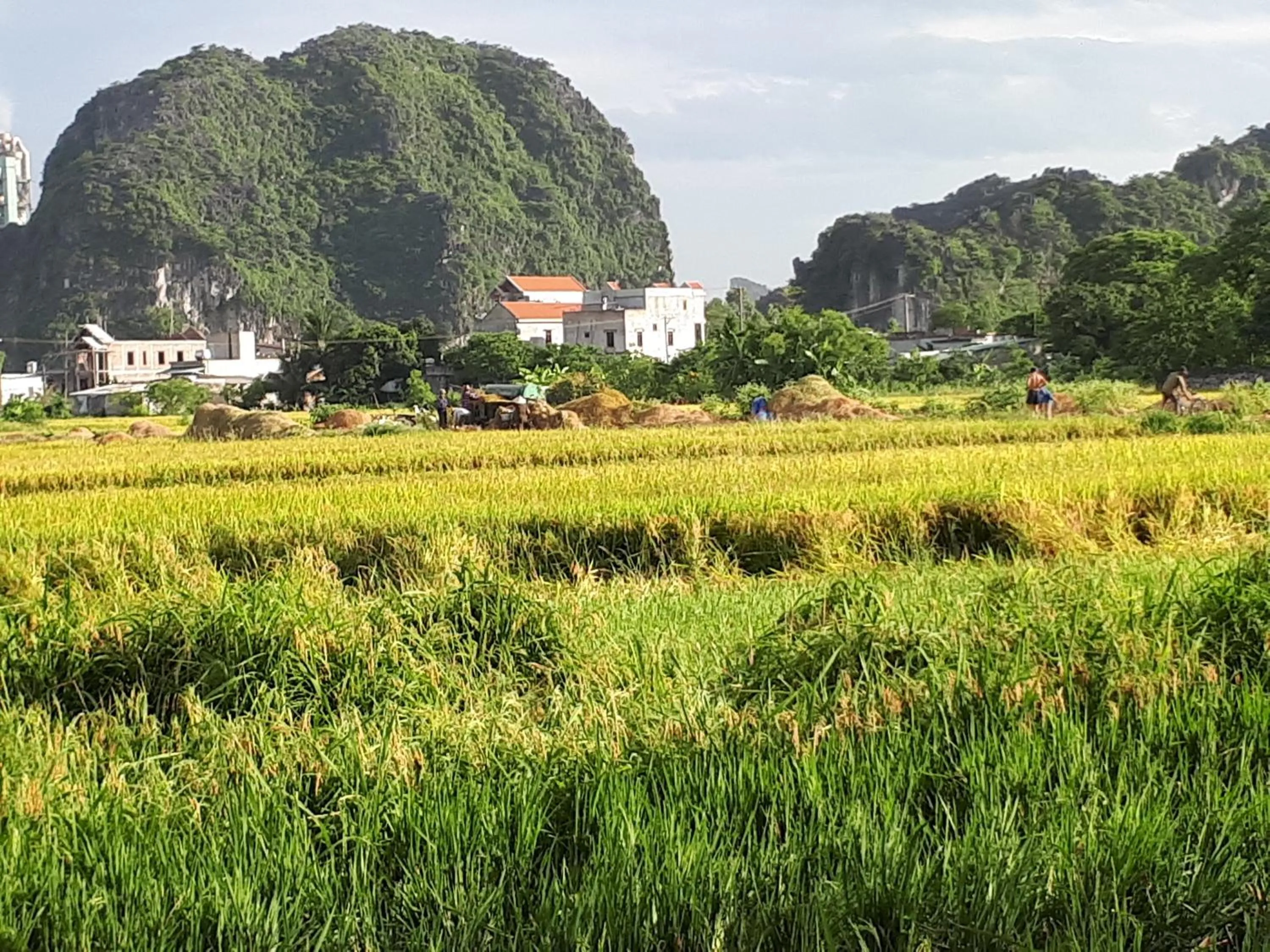 View (from property/room) in Tam Coc Rice Fields Homestay