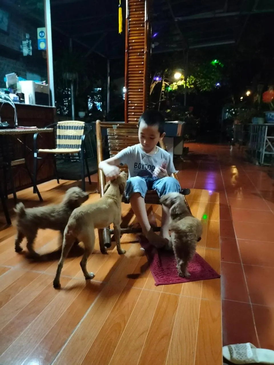 Restaurant/places to eat in Tam Coc Rice Fields Homestay