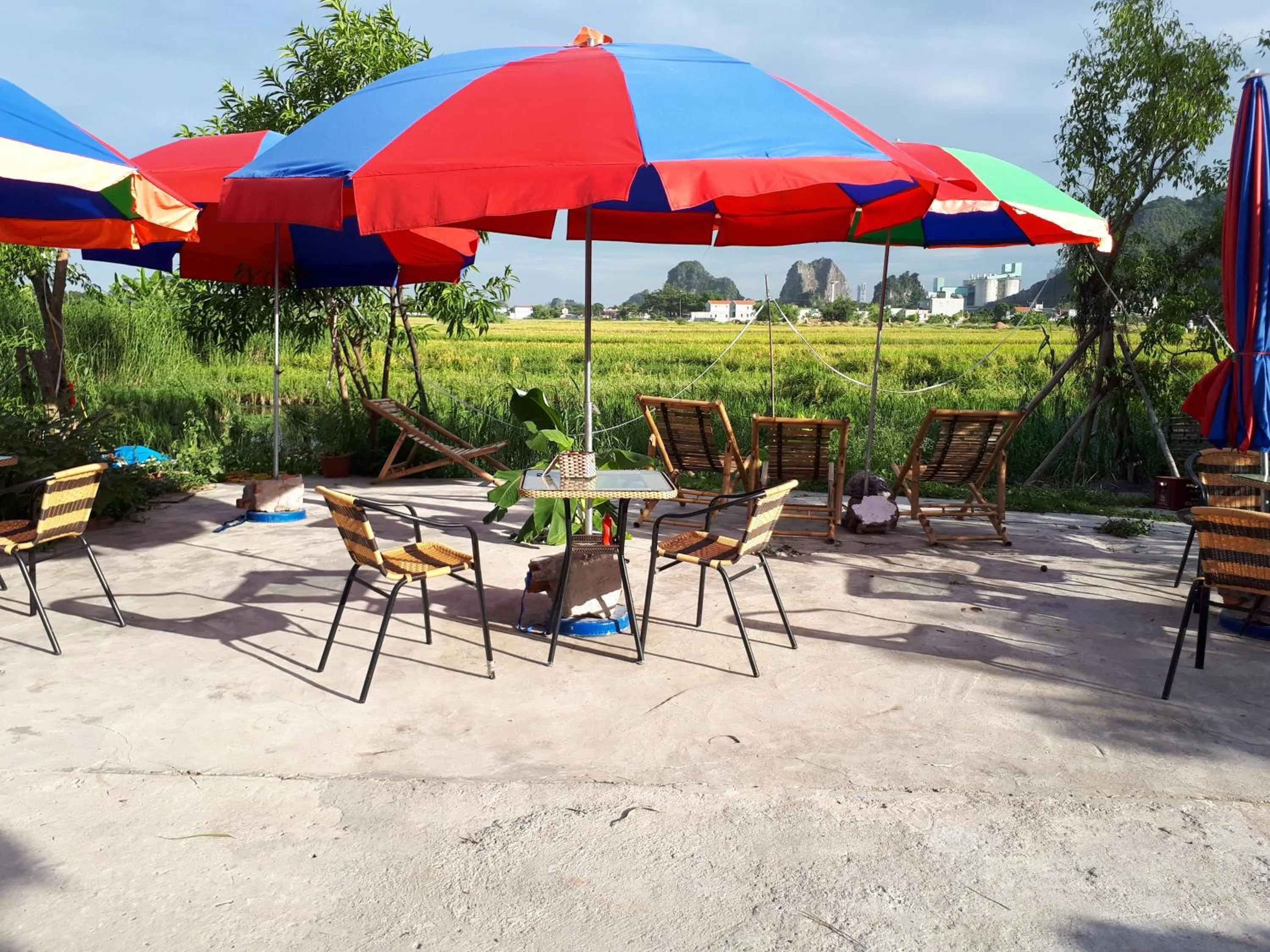 Summer in Tam Coc Rice Fields Homestay