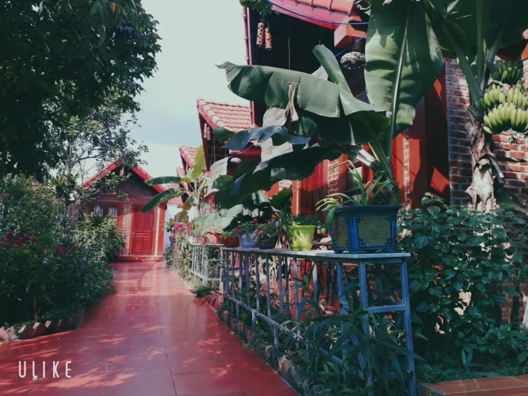 Property building in Tam Coc Rice Fields Homestay