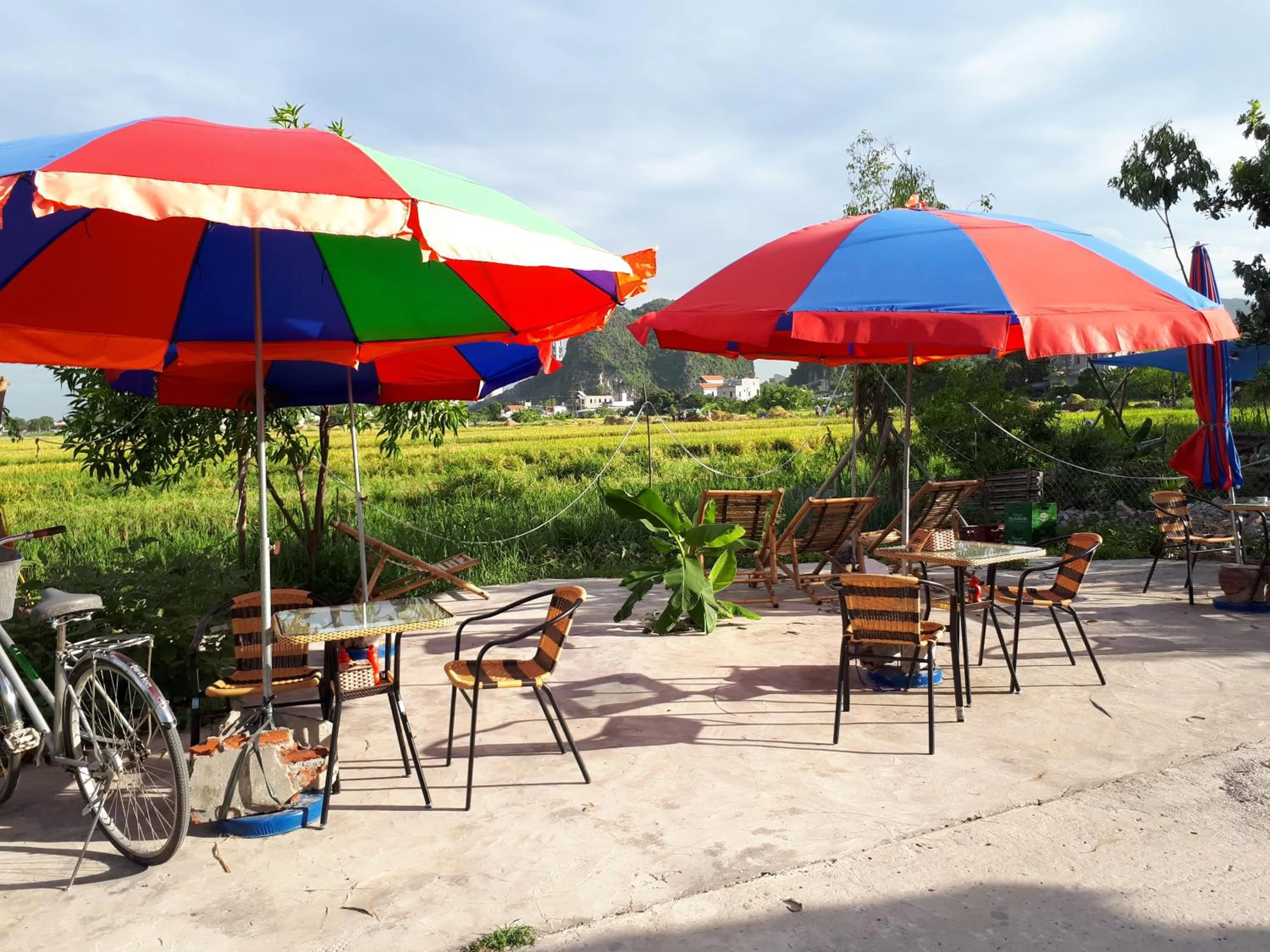 Summer in Tam Coc Rice Fields Homestay