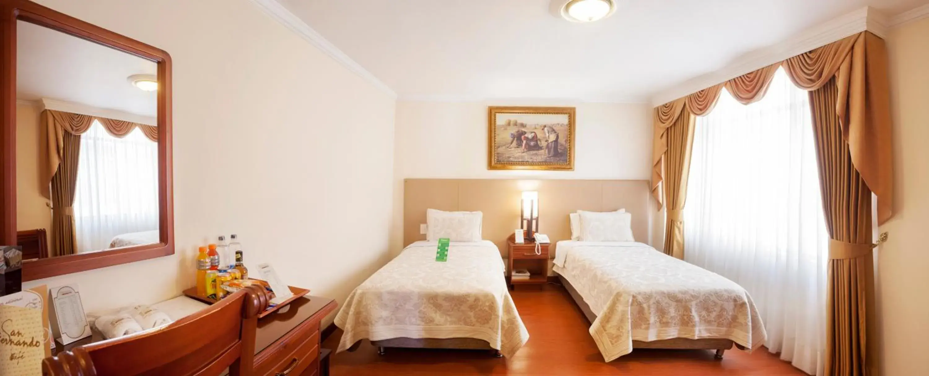 Standard Double Room in Hotel Fernando Plaza Standard Double Room in Hotel Fernando Plaza