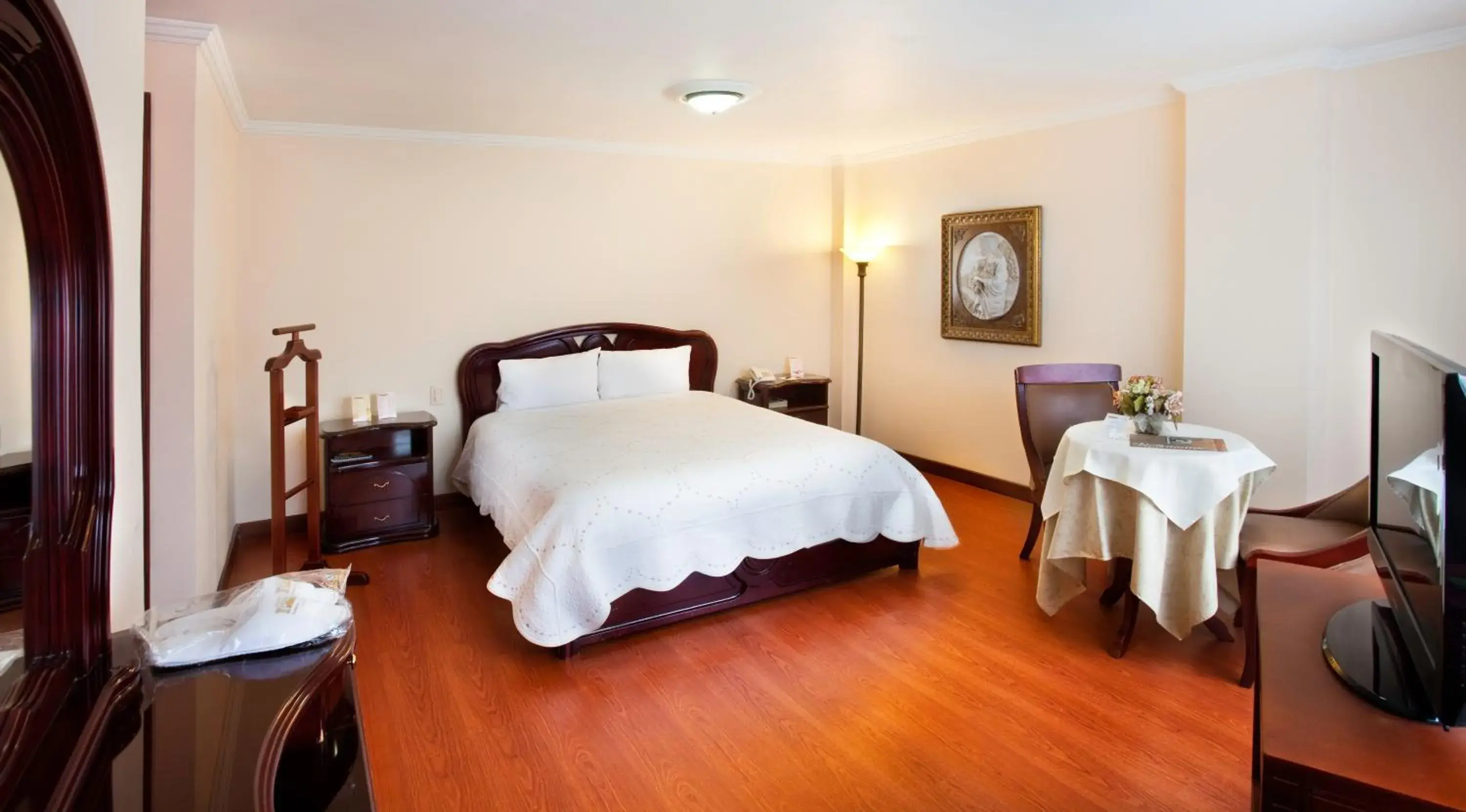 Superior Single Room - single occupancy in Hotel Fernando Plaza Superior Single Room - single occupancy in Hotel Fernando Plaza