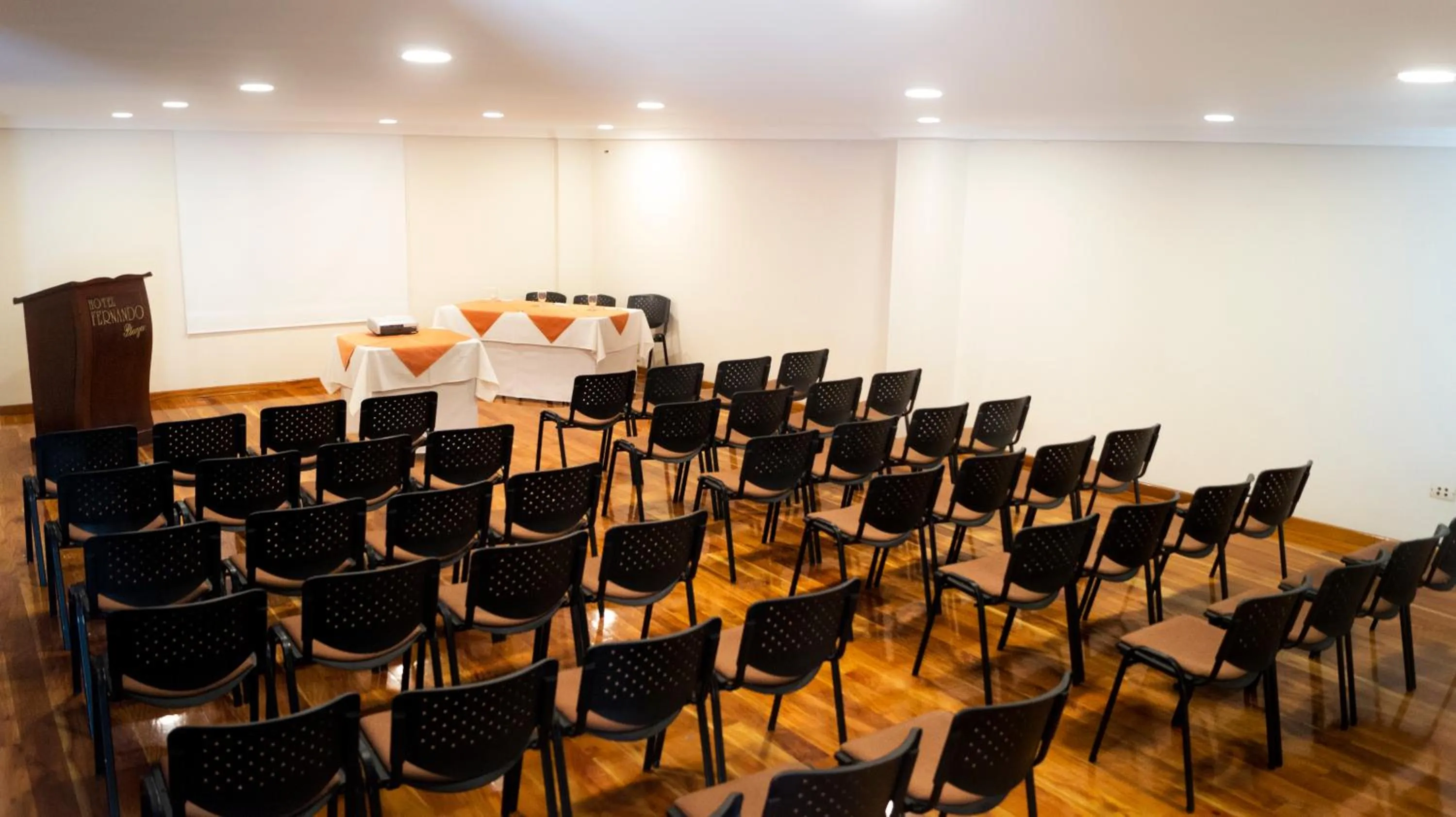 Lounge or bar in Hotel Fernando Plaza