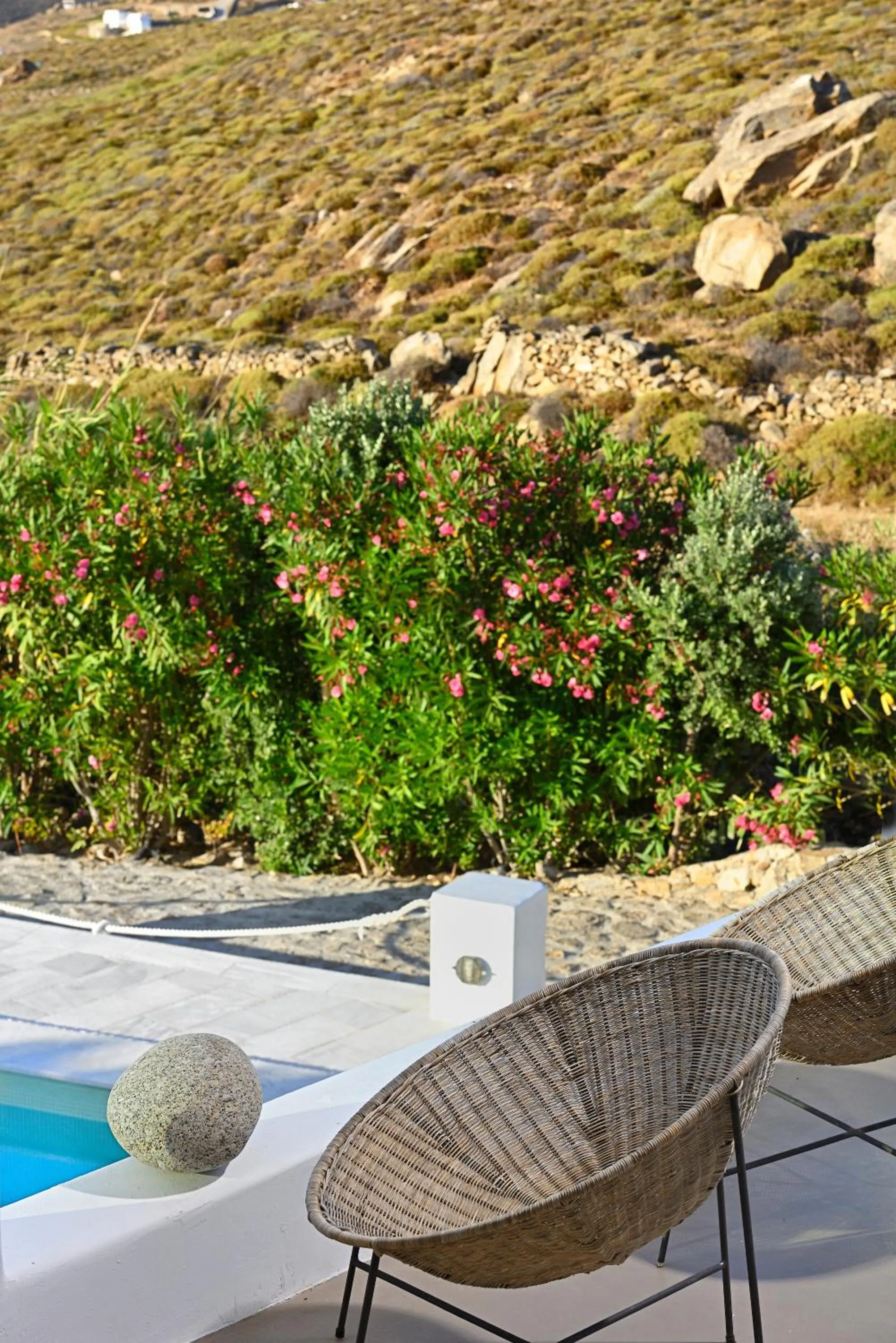 Garden in Mykonos Dream Villas