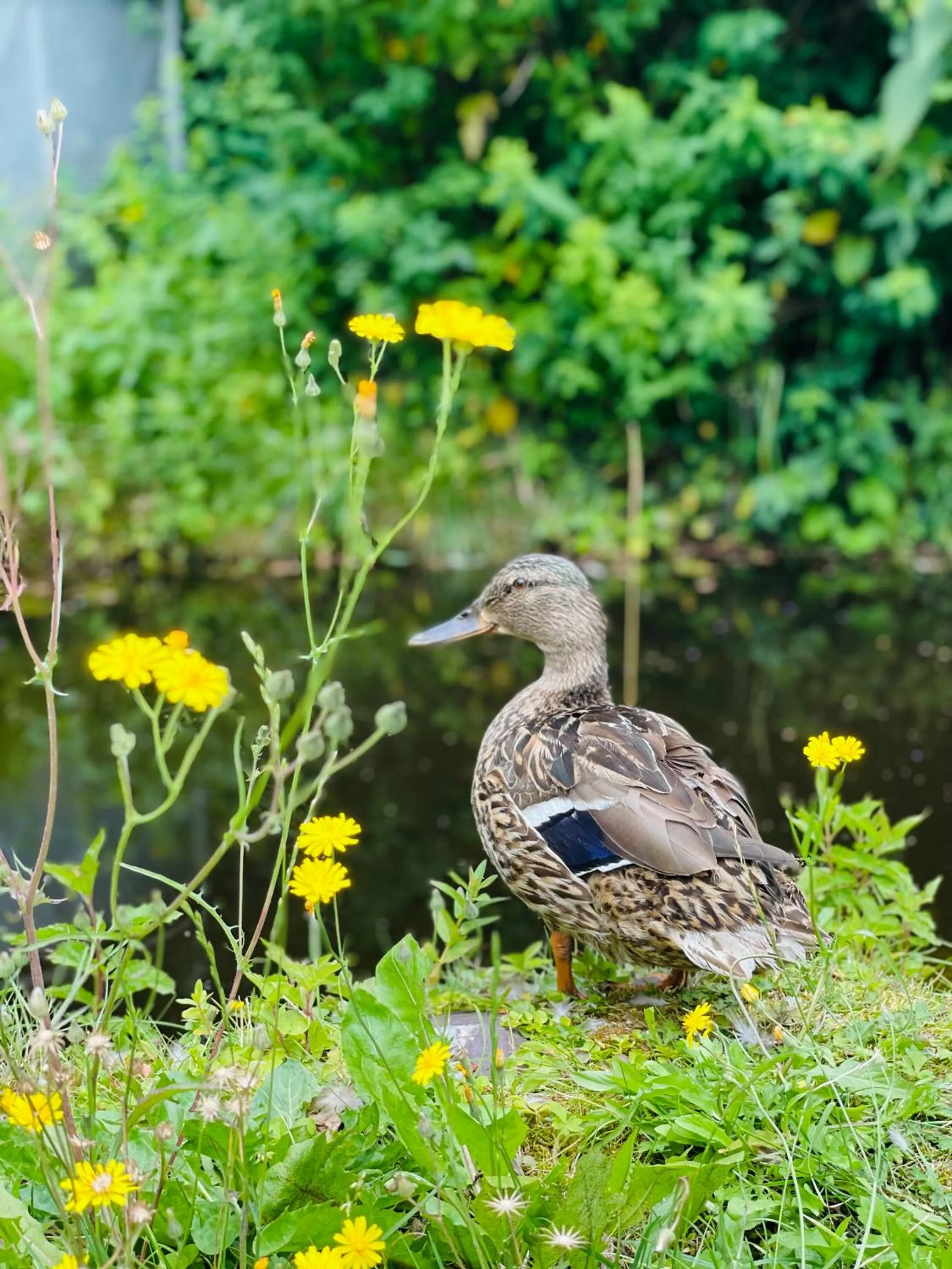 Spring in Landgoedhotel Villa Vennendal