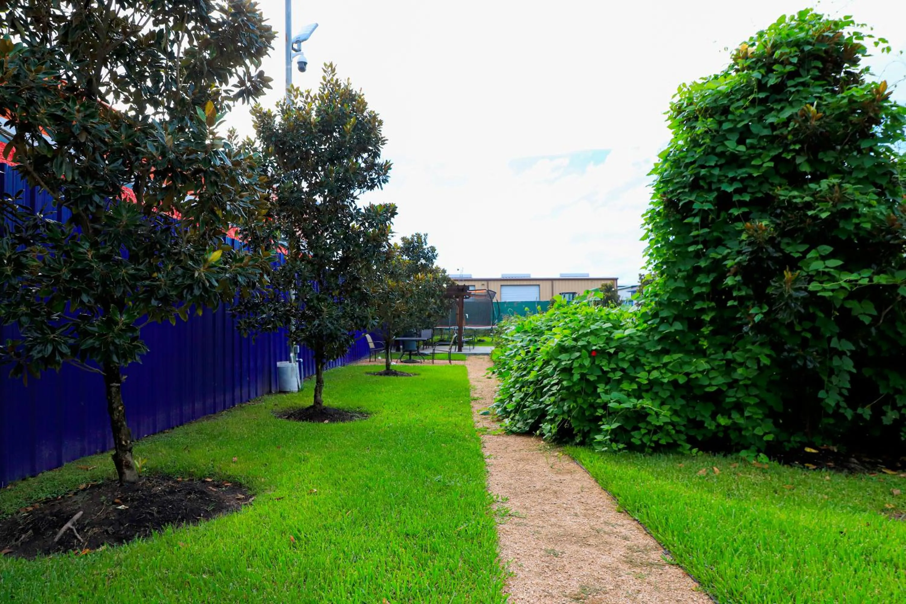 Garden in Scottish Inn and Suites Houston-Jones Road