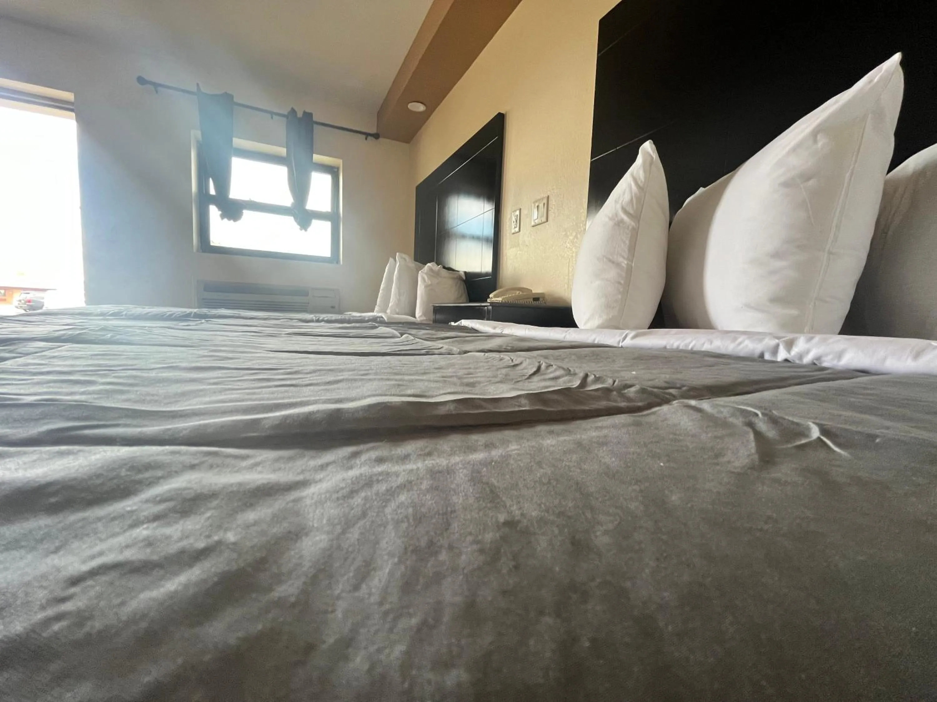 Bed in Circle Motor Lodge