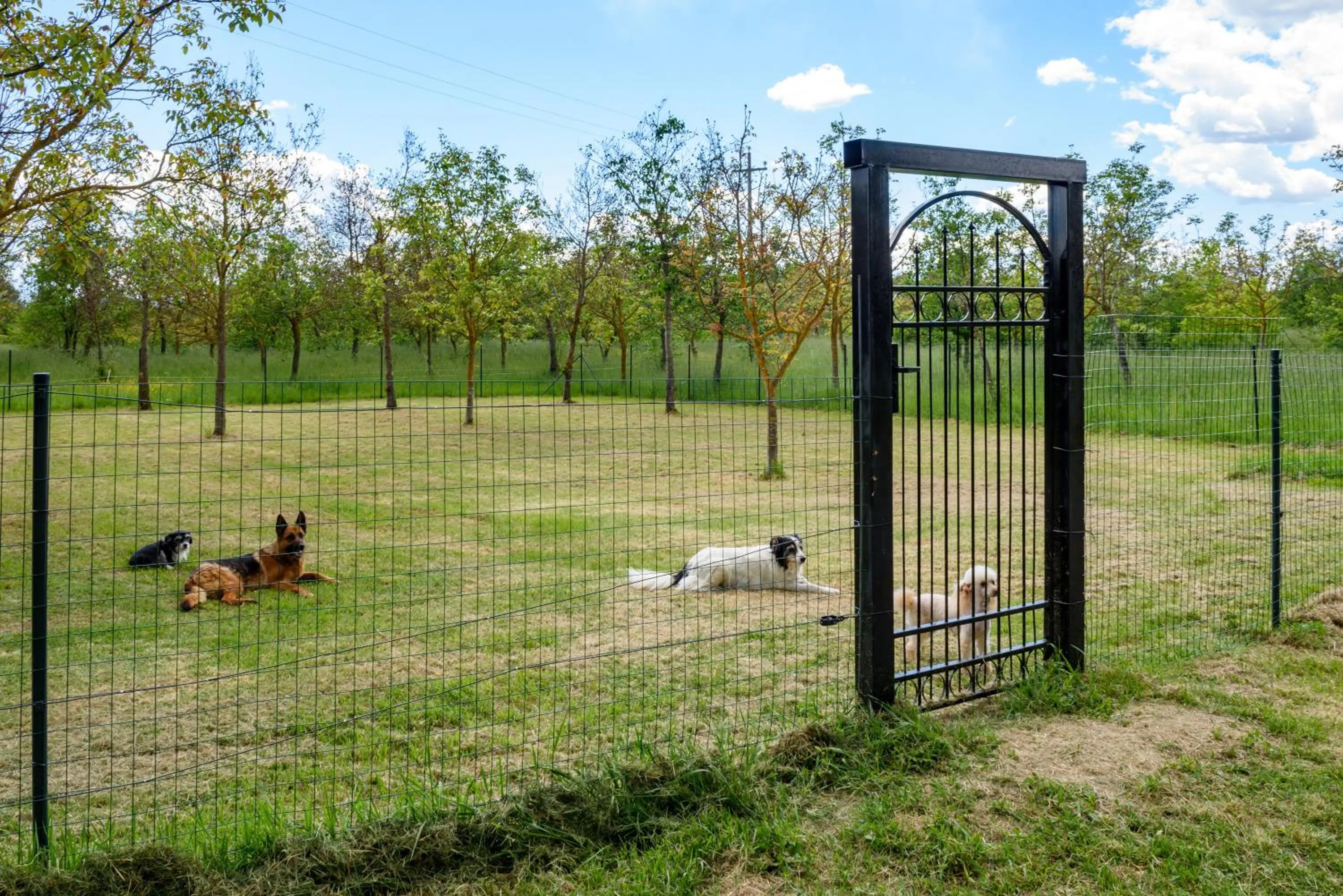 Monastero San Silvestro